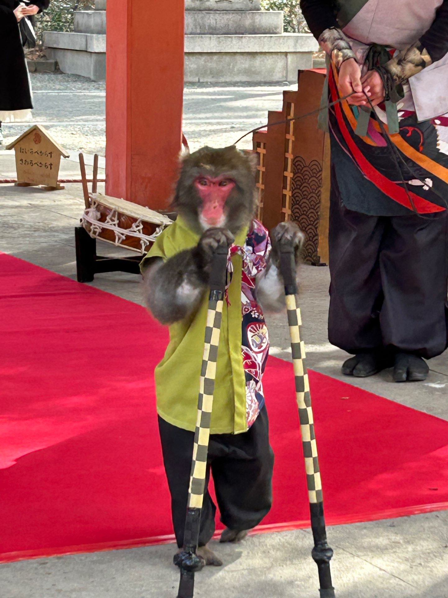 こたげんさんのプロフィール画像