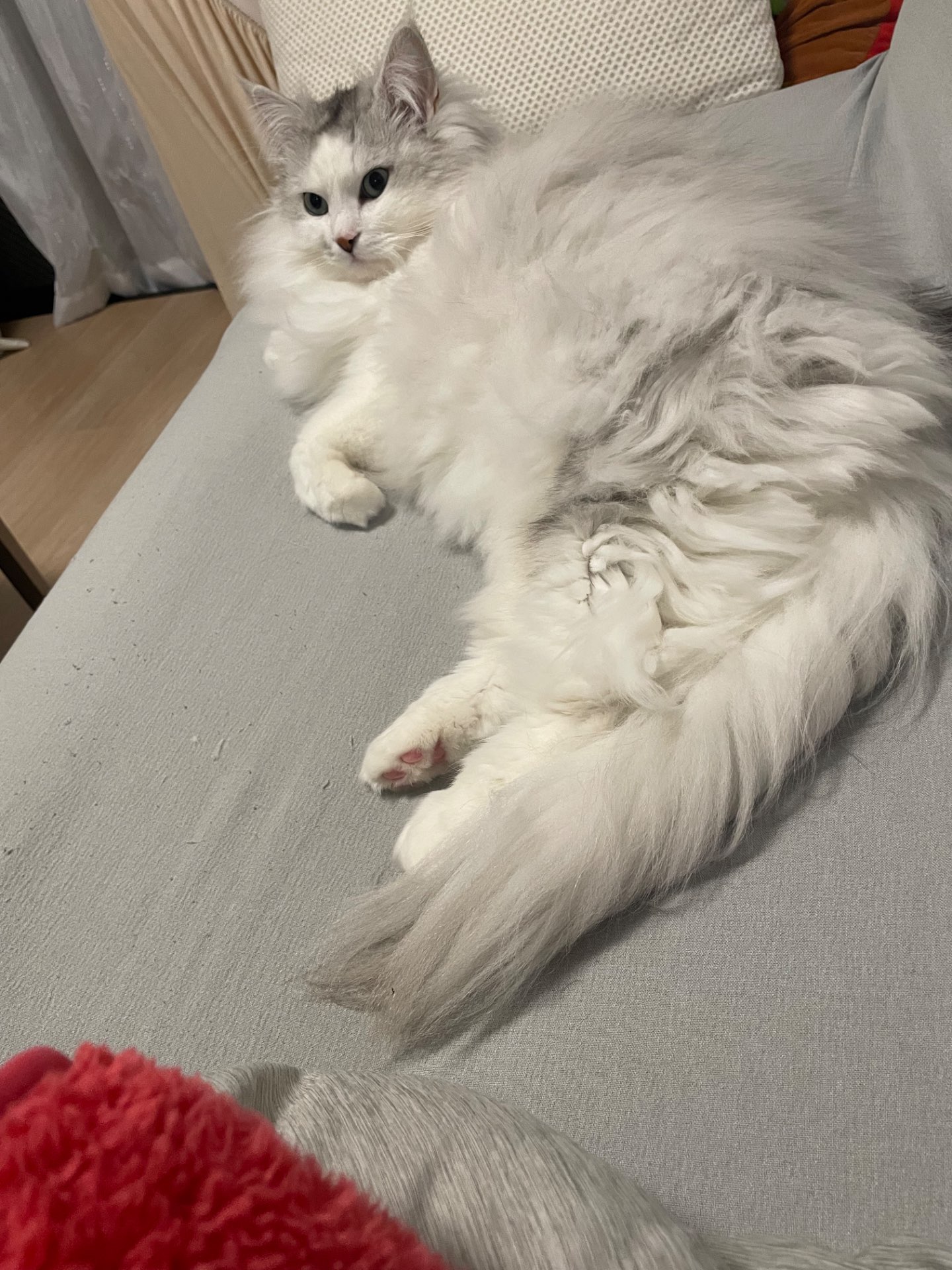 い。さんのプロフィール画像