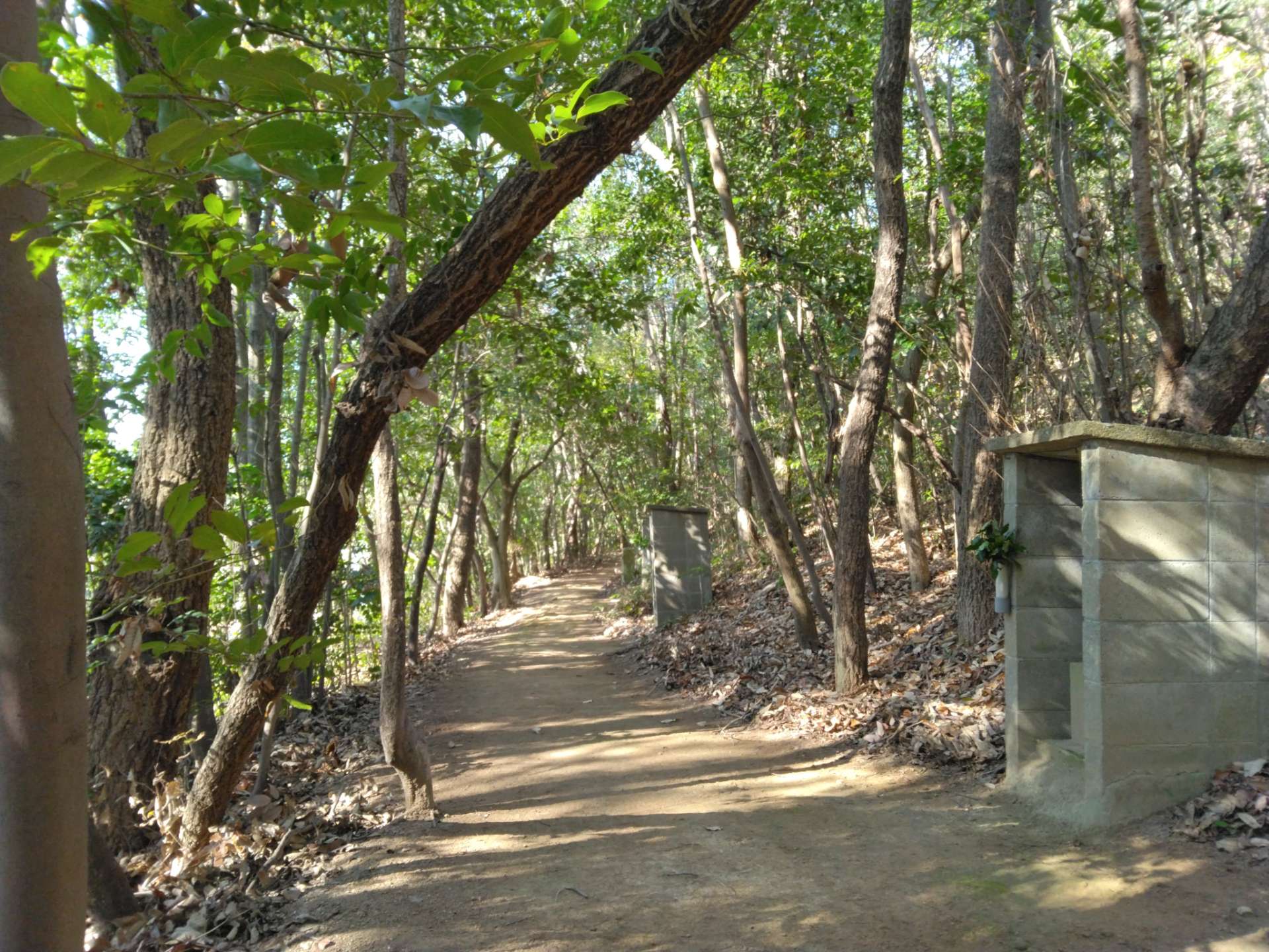 安養寺さんのプロフィール画像