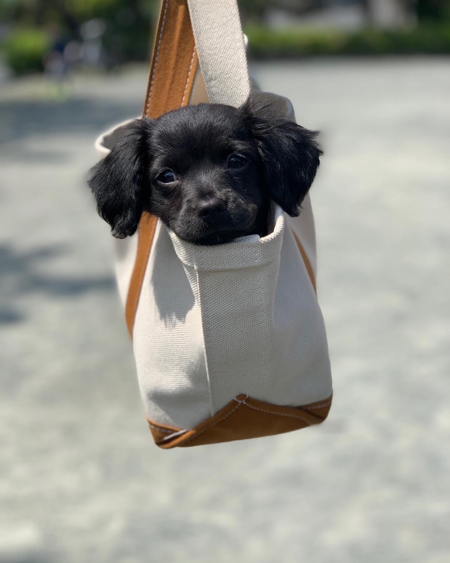 そうさんのプロフィール画像