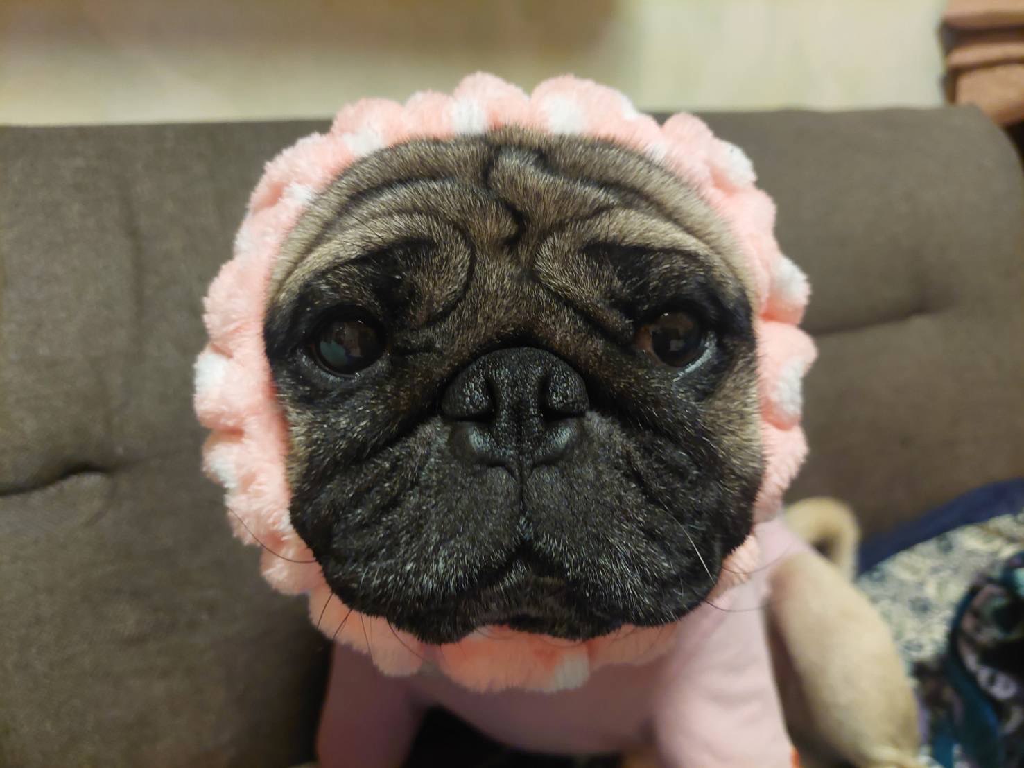 大ちゃんさんのプロフィール画像