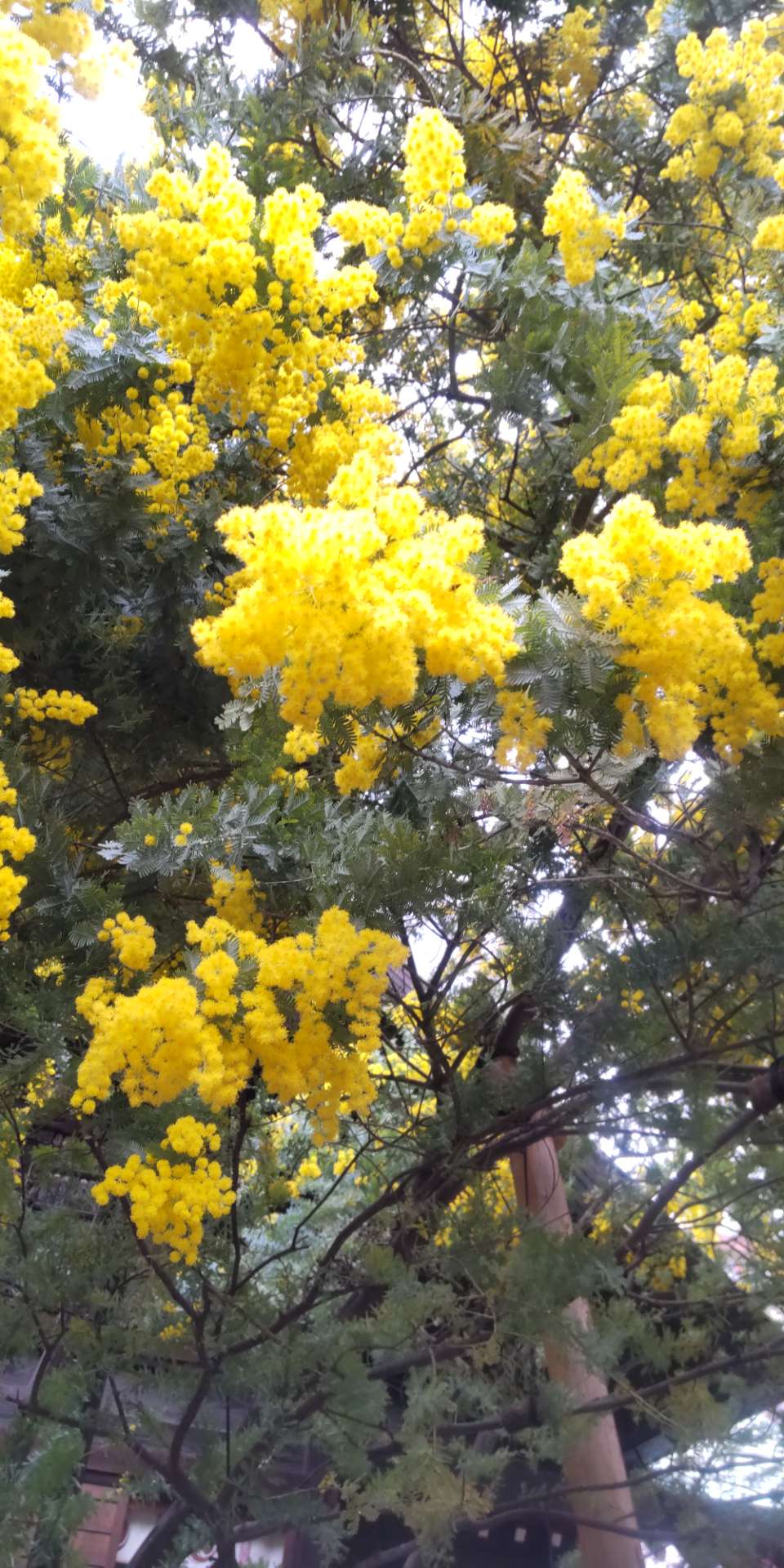 ま～ちゃんさんのプロフィール画像