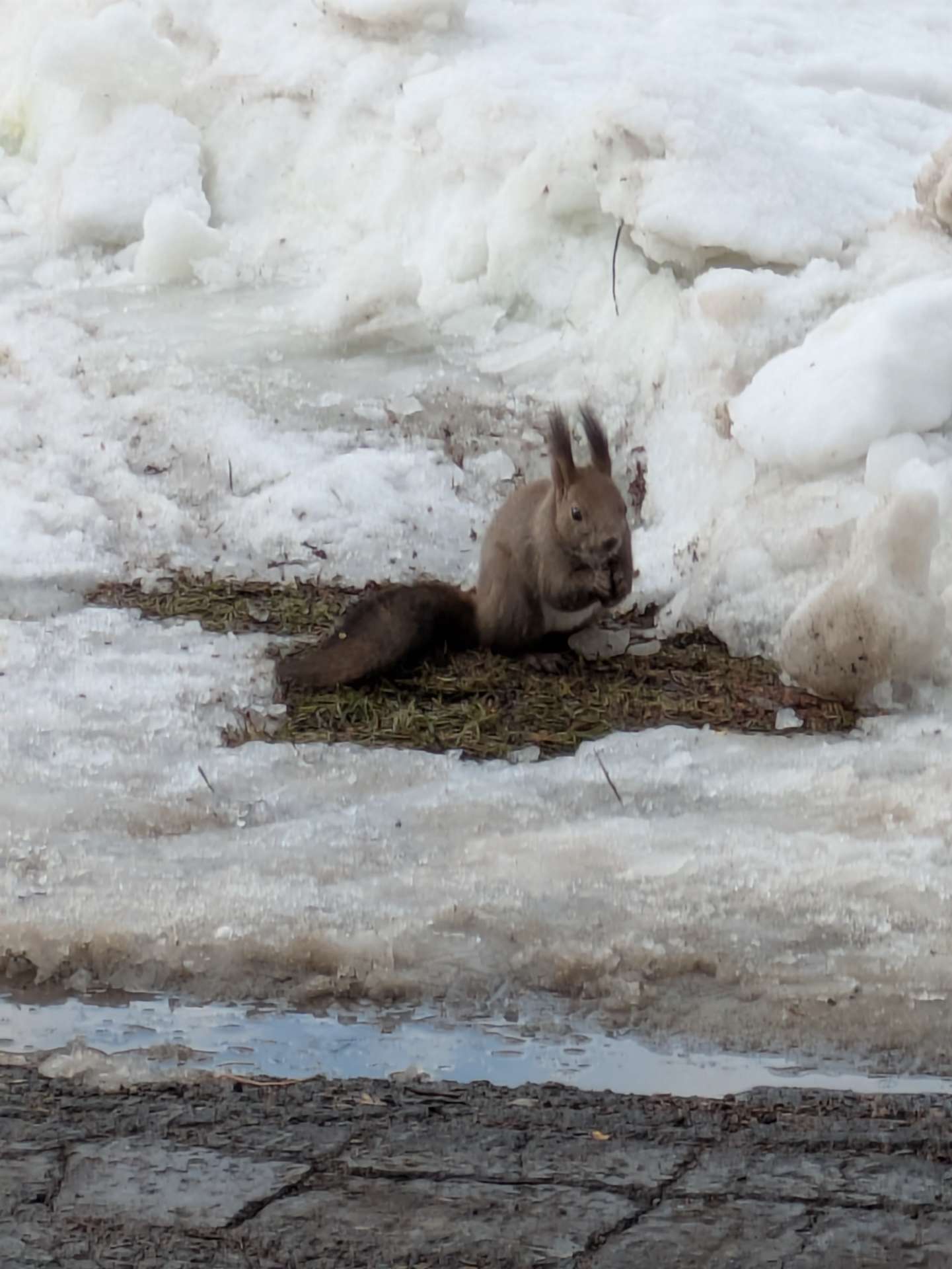 あらたかさんさんのプロフィール画像