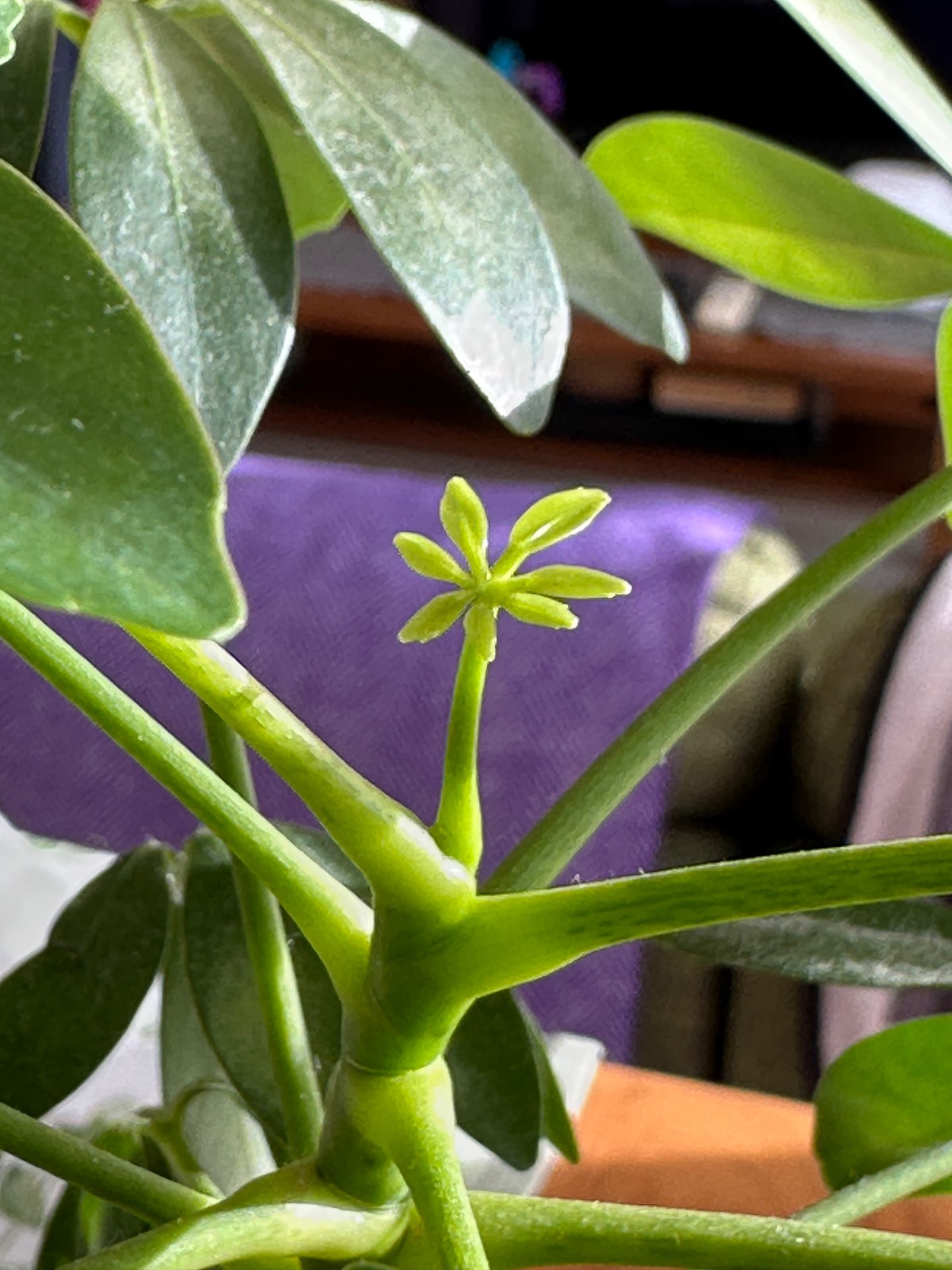 燦々さんのプロフィール画像