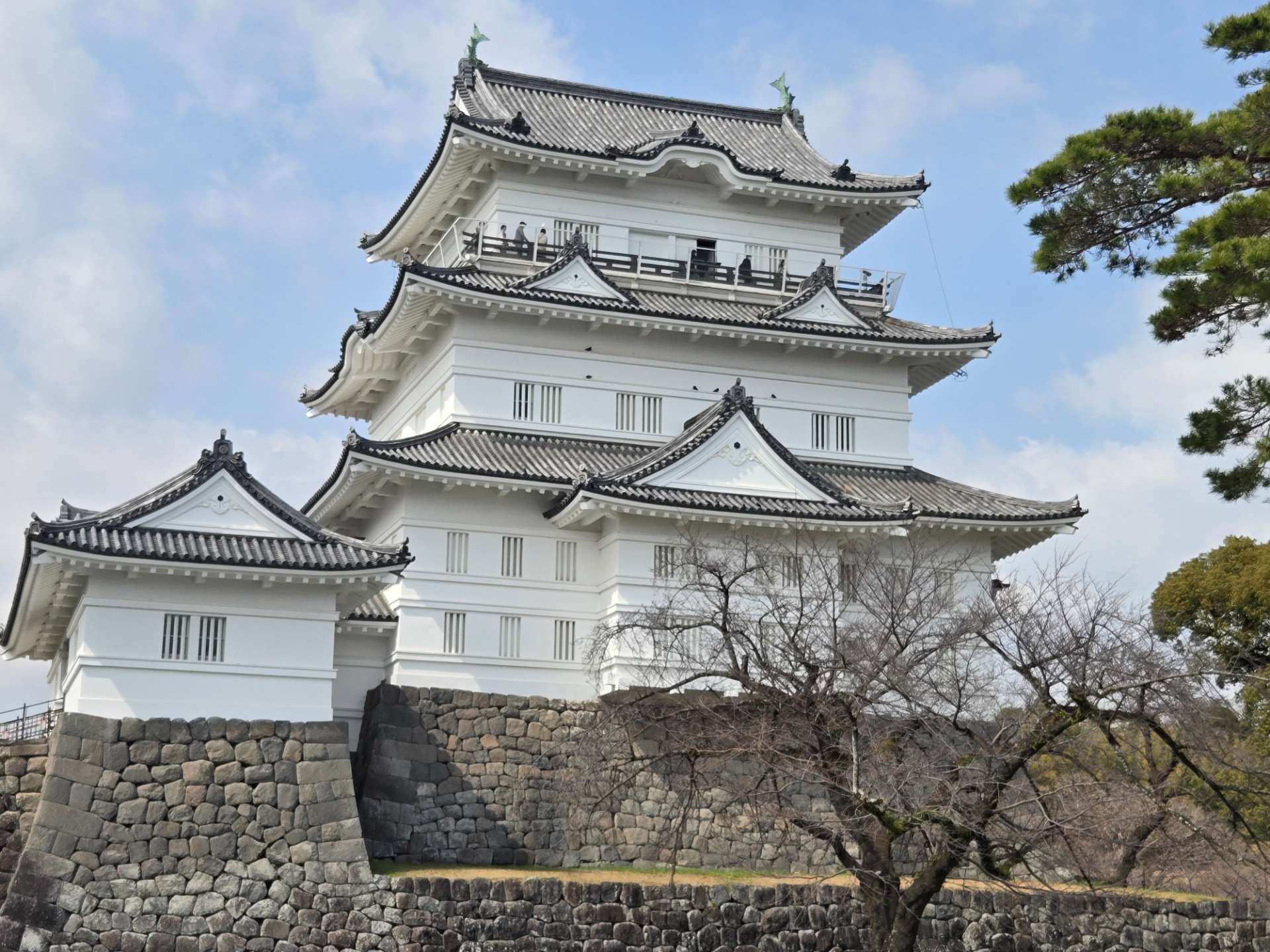 トーラさんのプロフィール画像