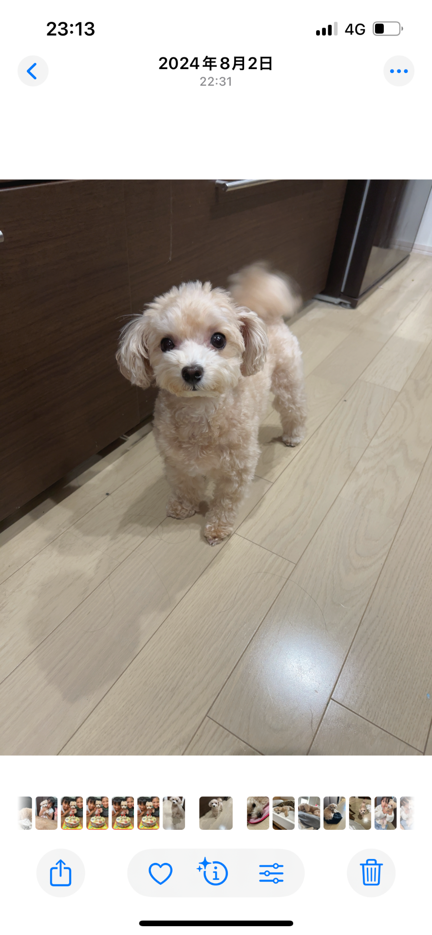 amjさんのプロフィール画像