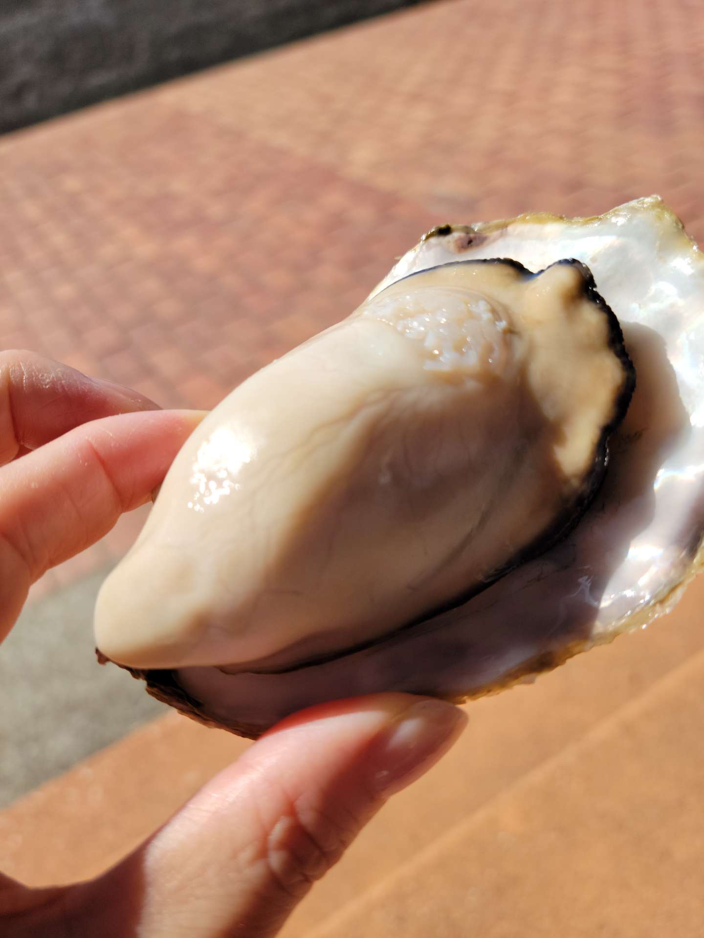 🐕ななすけ🐈‍⬛さんのプロフィール画像