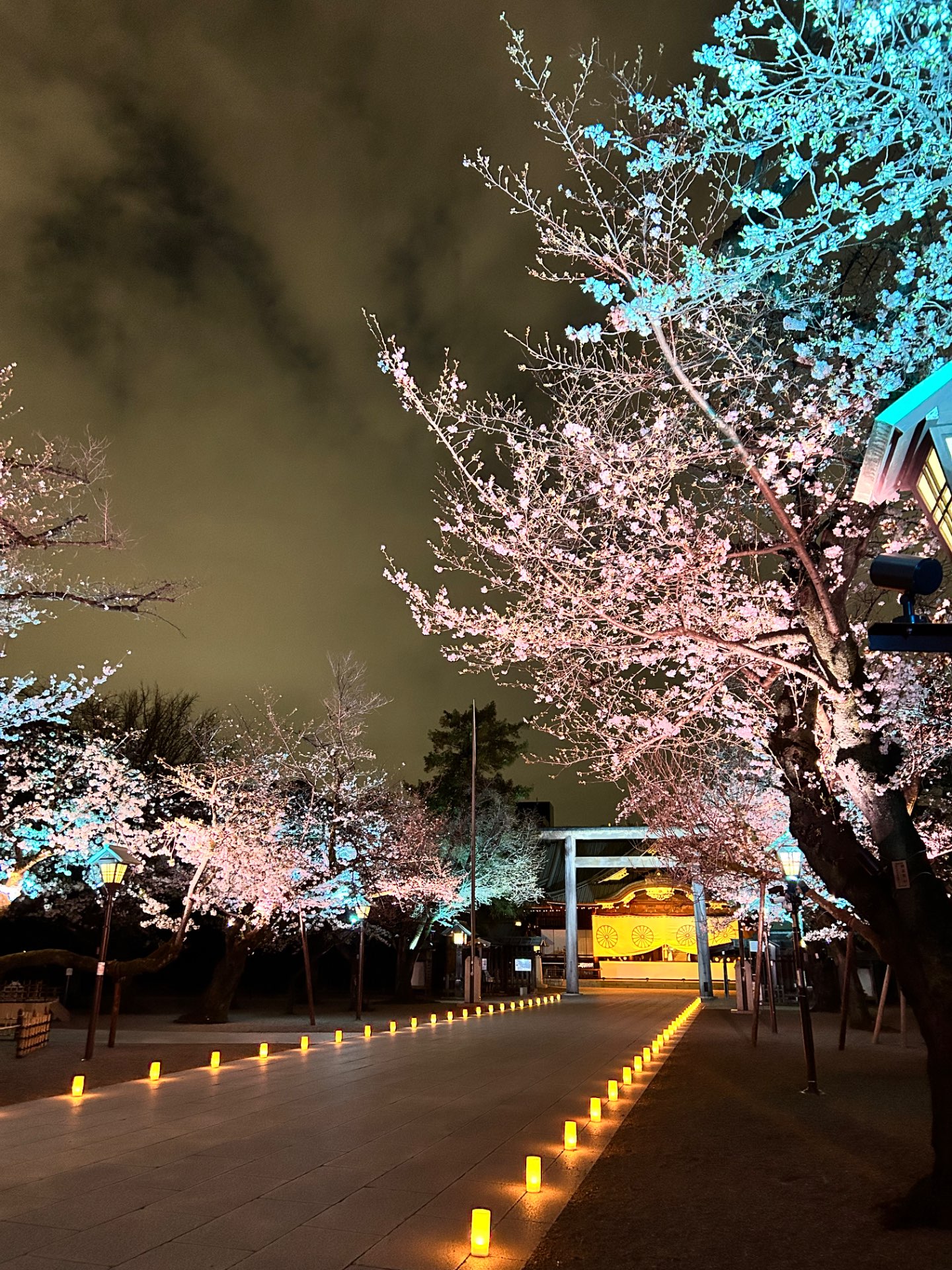 あゆmamaさんのプロフィール画像