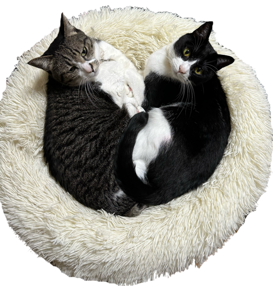 たまさんのプロフィール画像