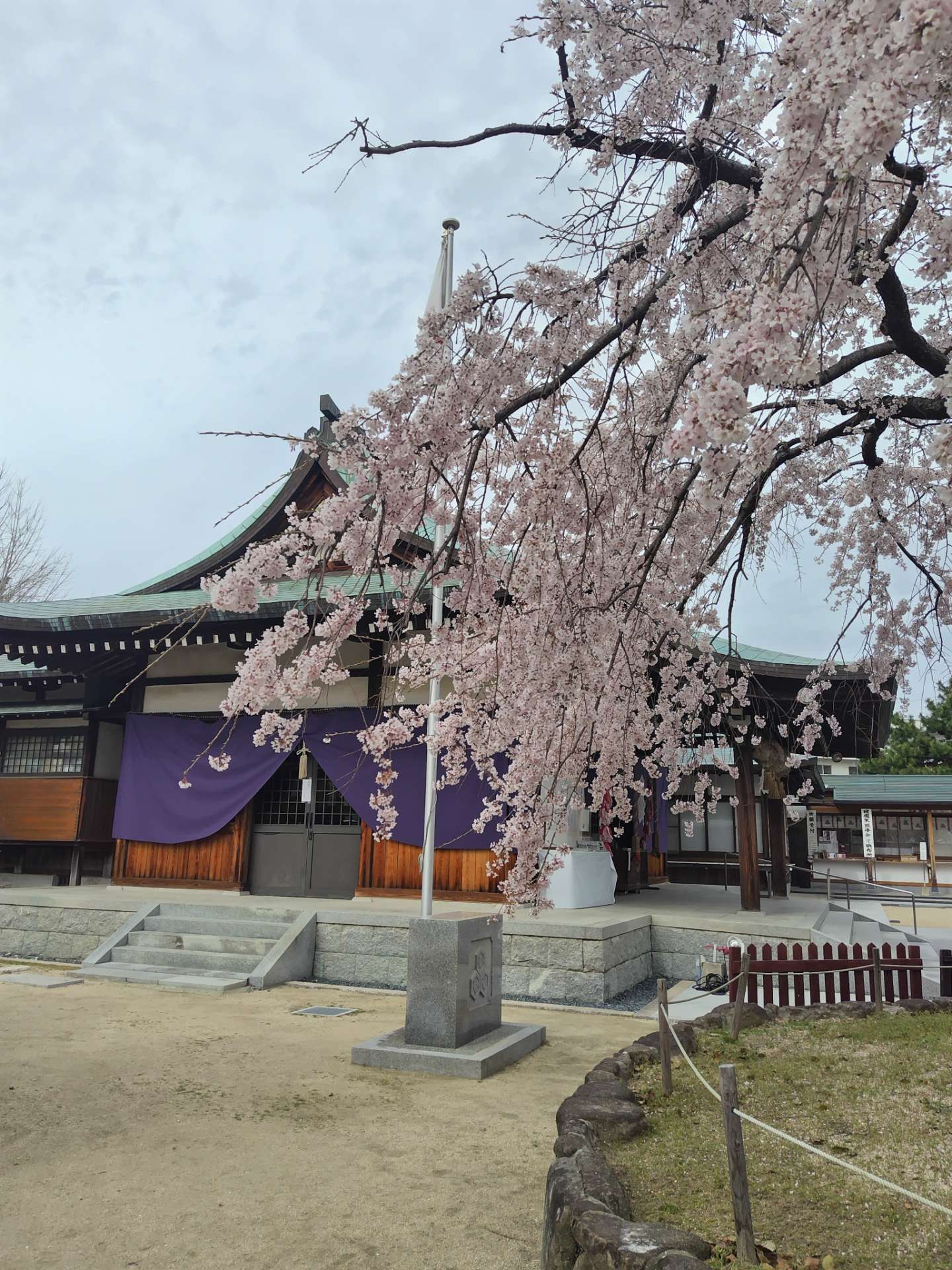 まーにゃさんのプロフィール画像