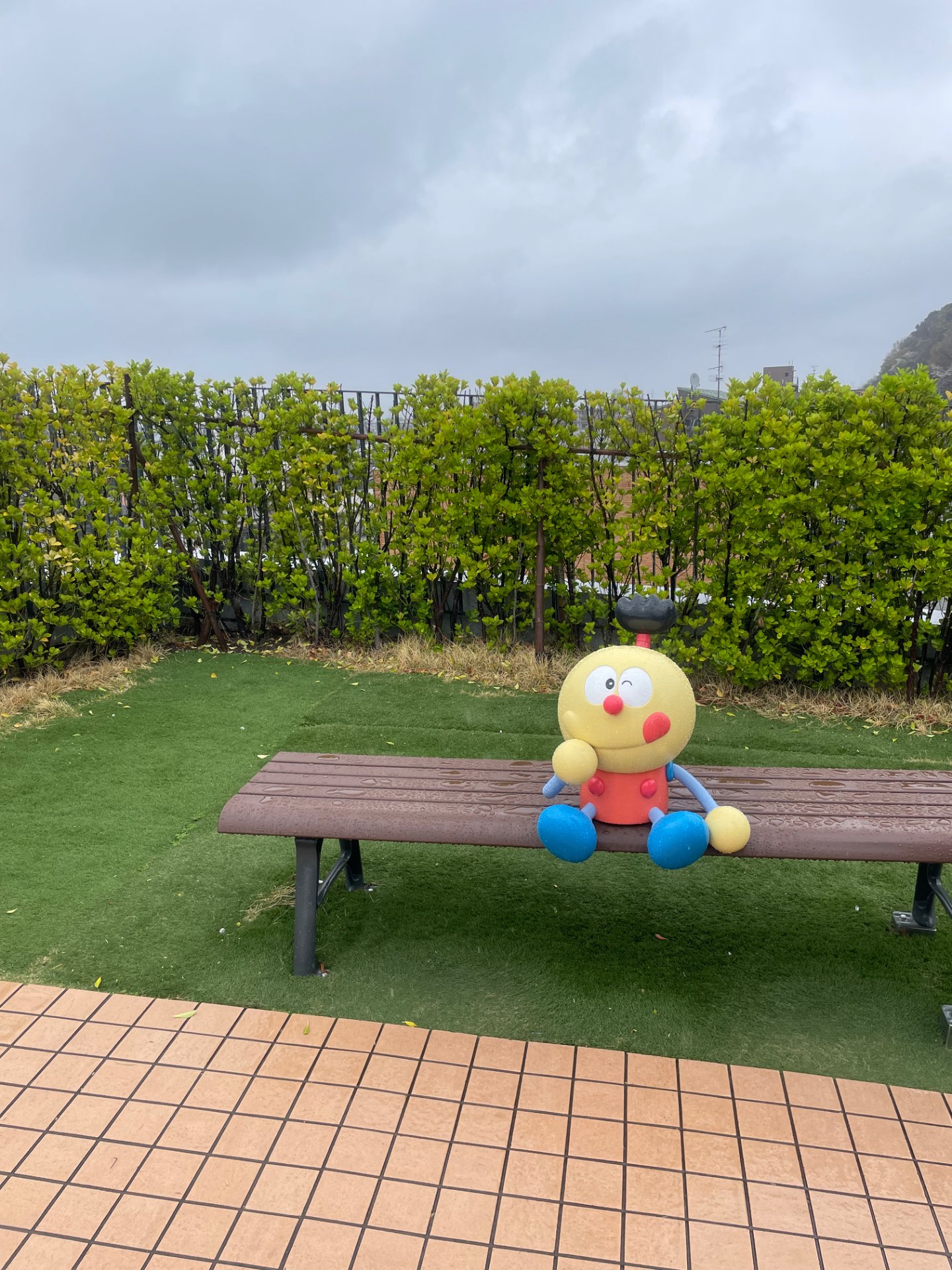 コロ助さんのプロフィール画像