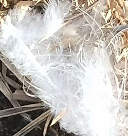 チャムさんのプロフィール画像