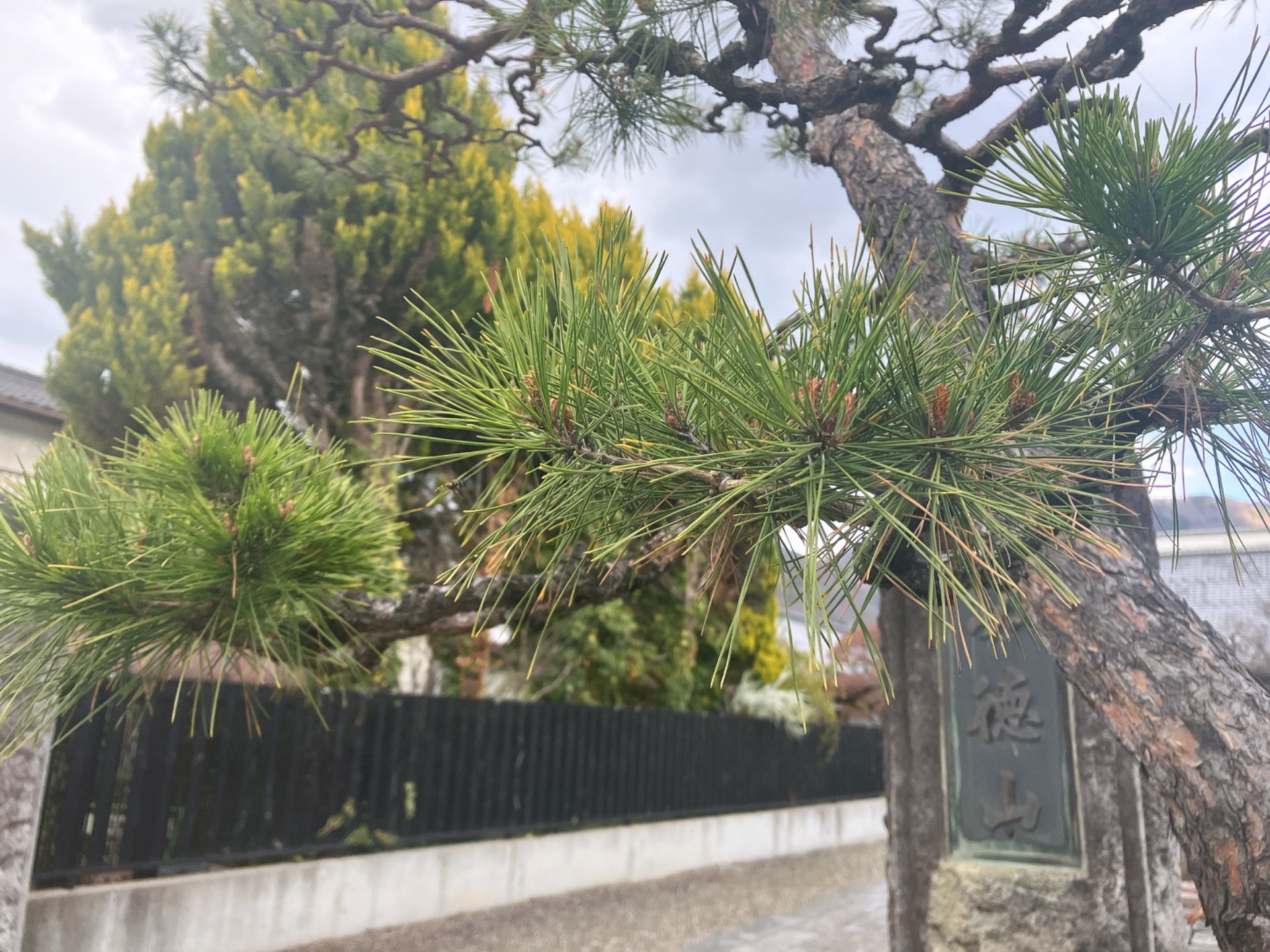 あまどいさんのプロフィール画像