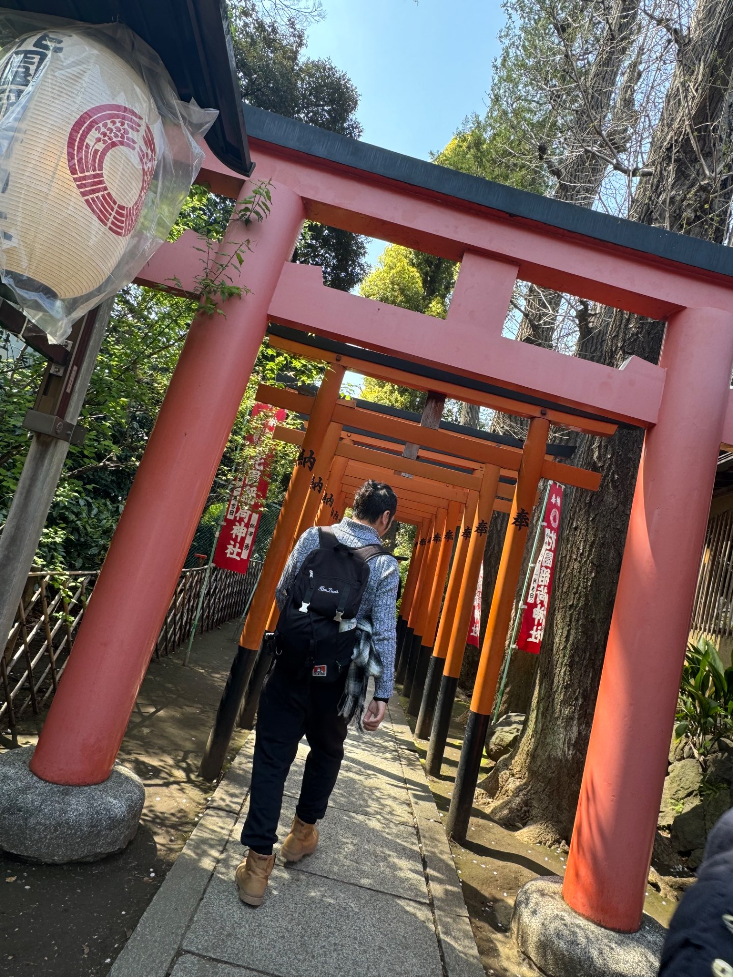 シェクスさんのプロフィール画像