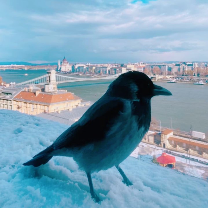 はるさんのプロフィール画像