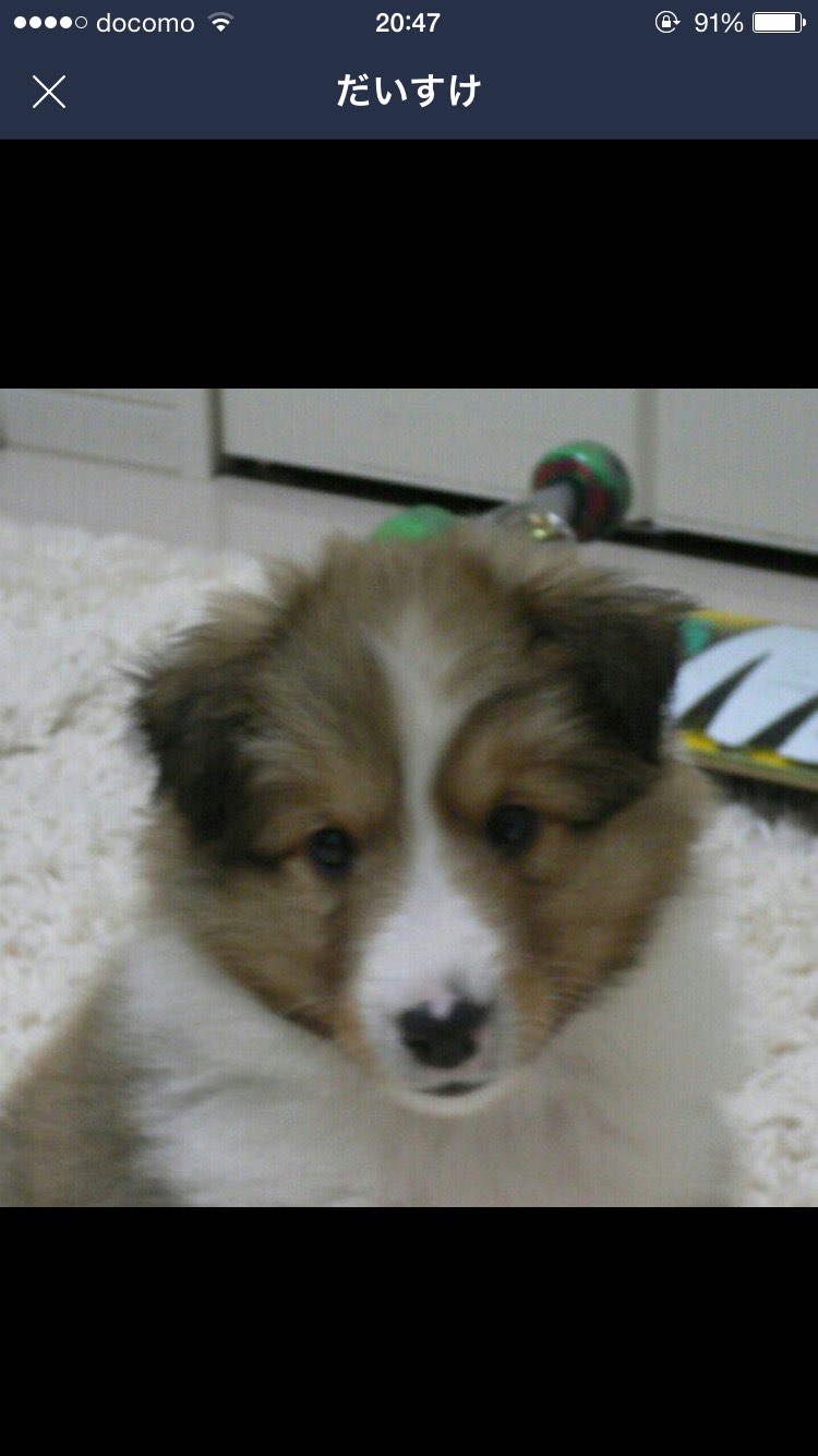 しろさんのプロフィール画像