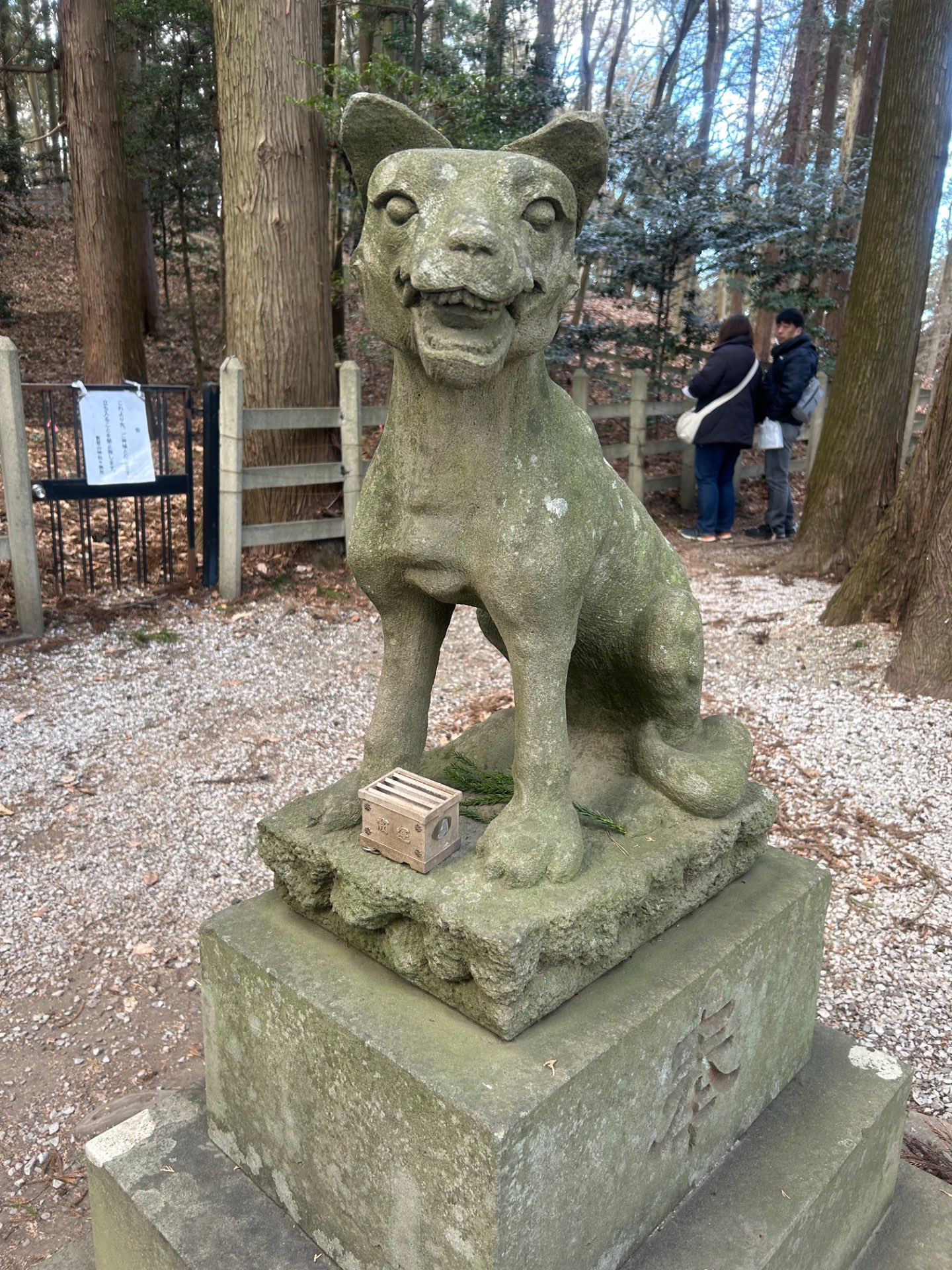 あおさんのプロフィール画像