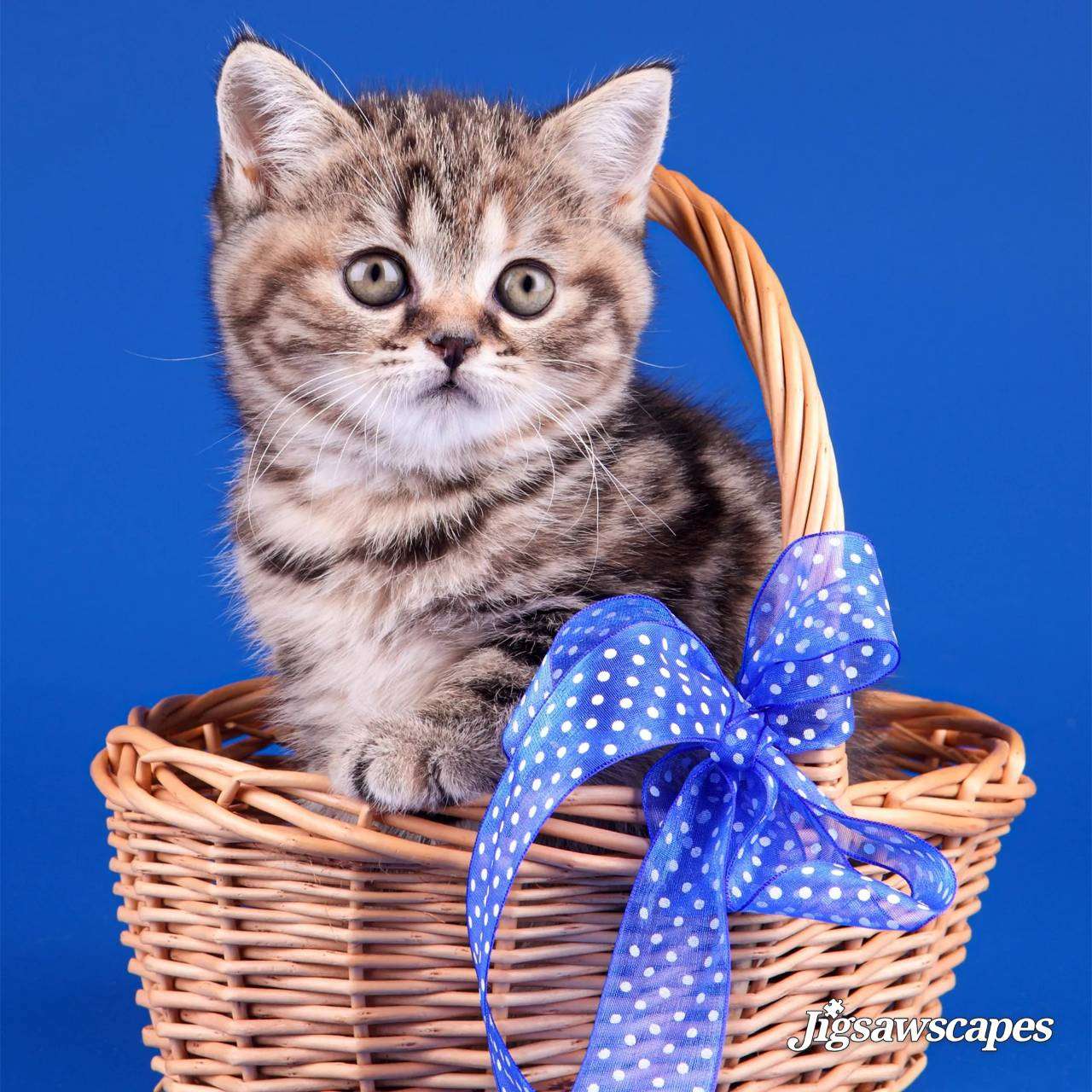 natsukaさんのプロフィール画像