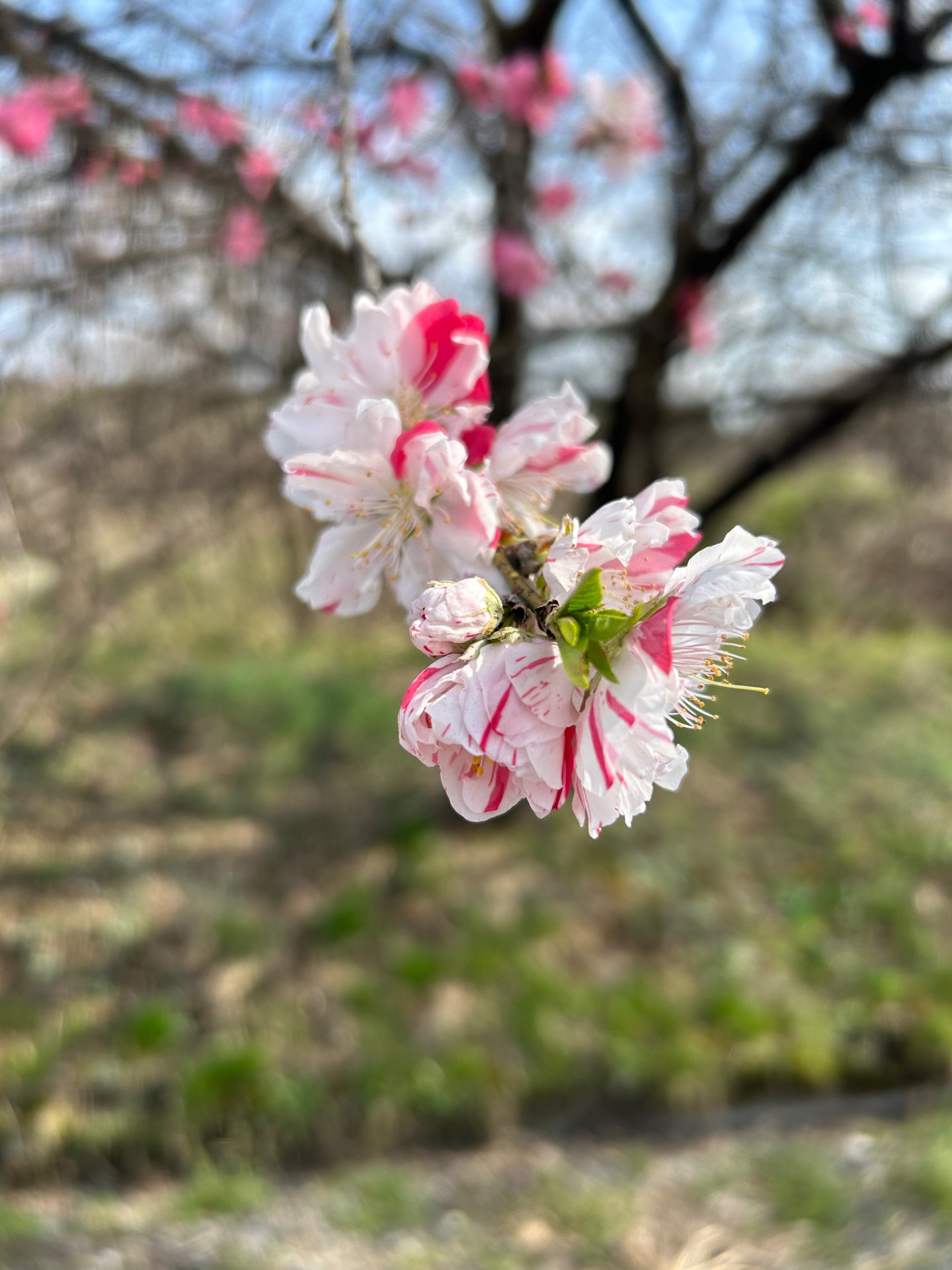 bellさんのプロフィール画像