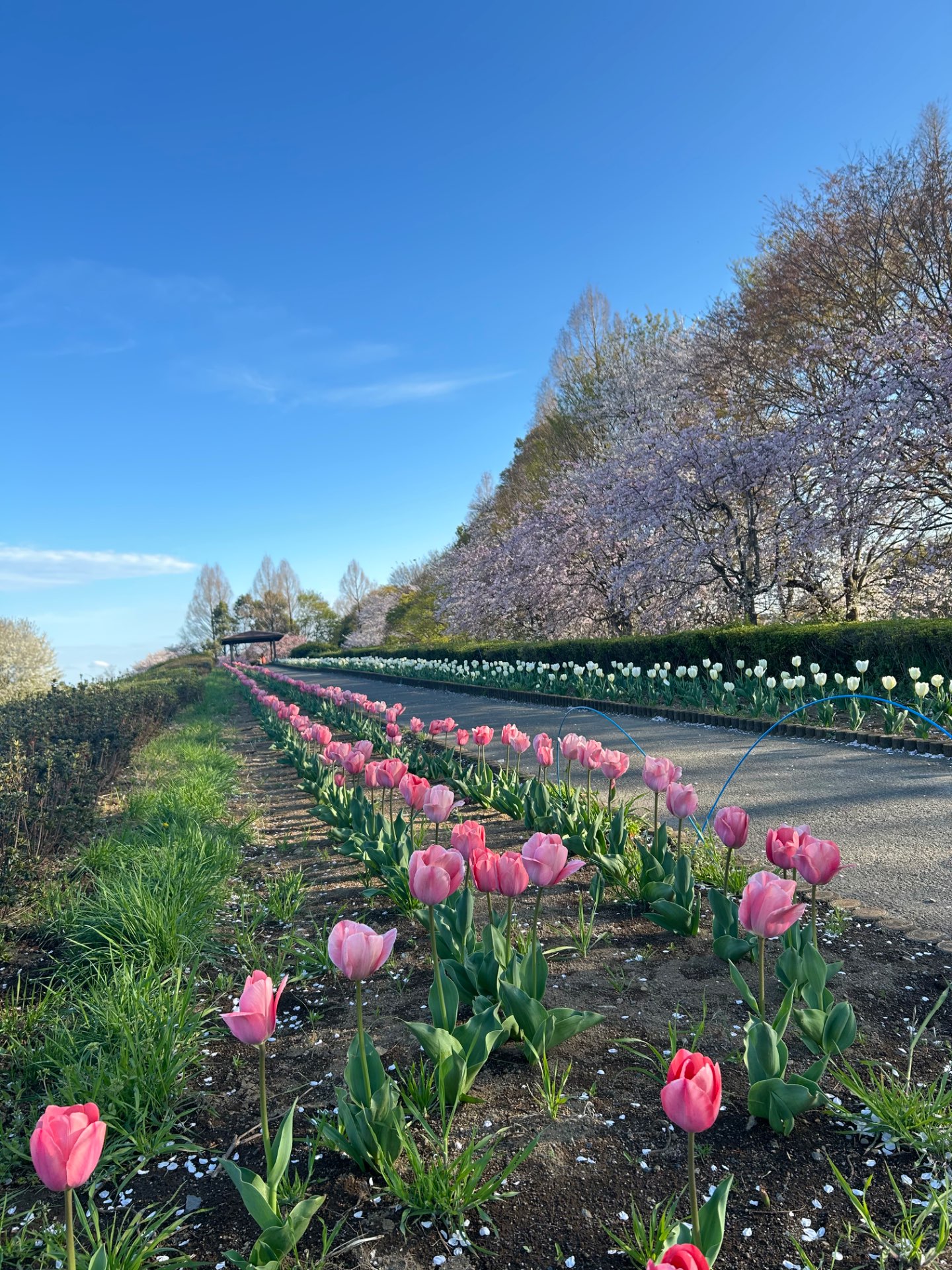みわさんのプロフィール画像