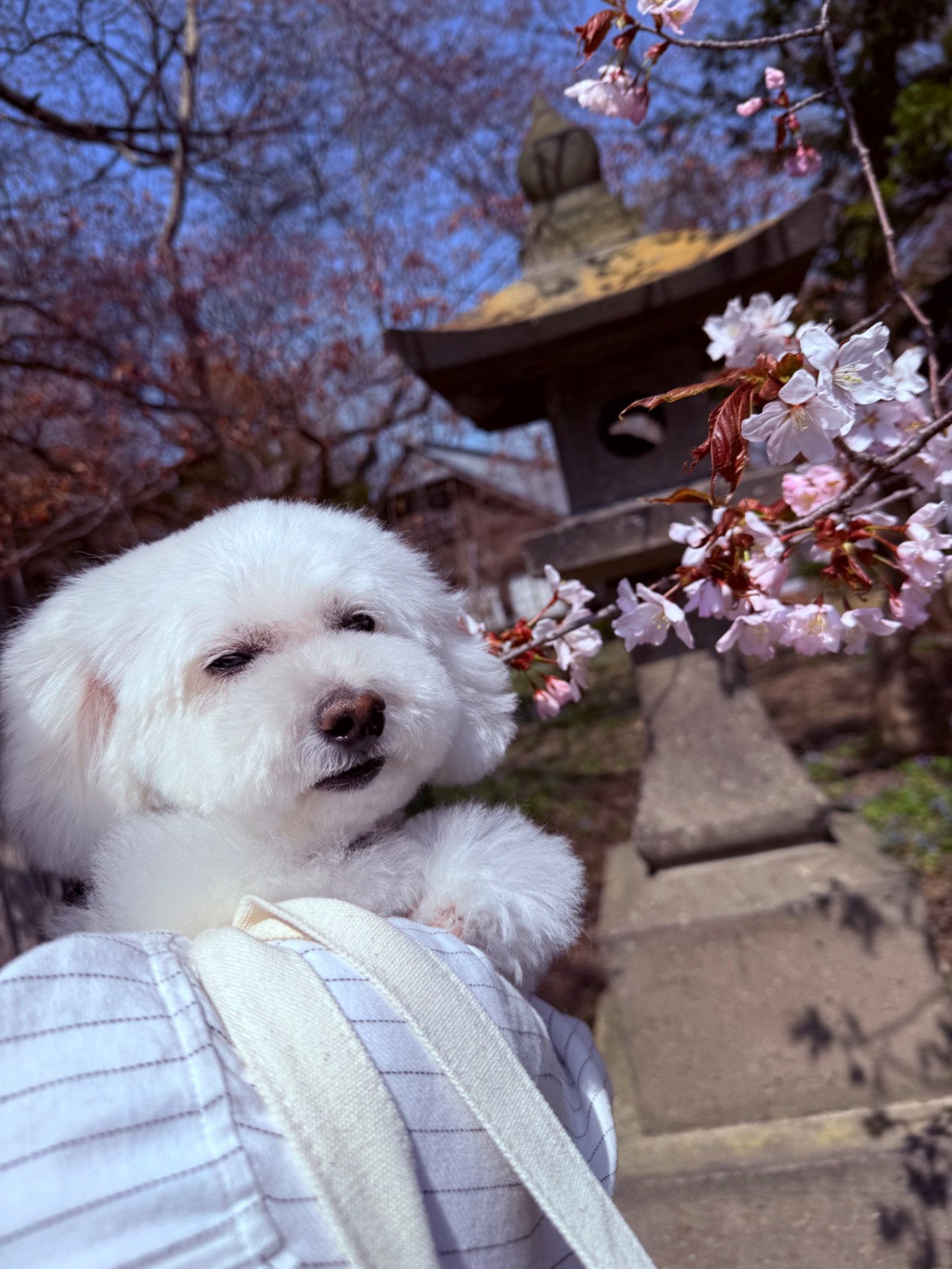 kuuさんのプロフィール画像