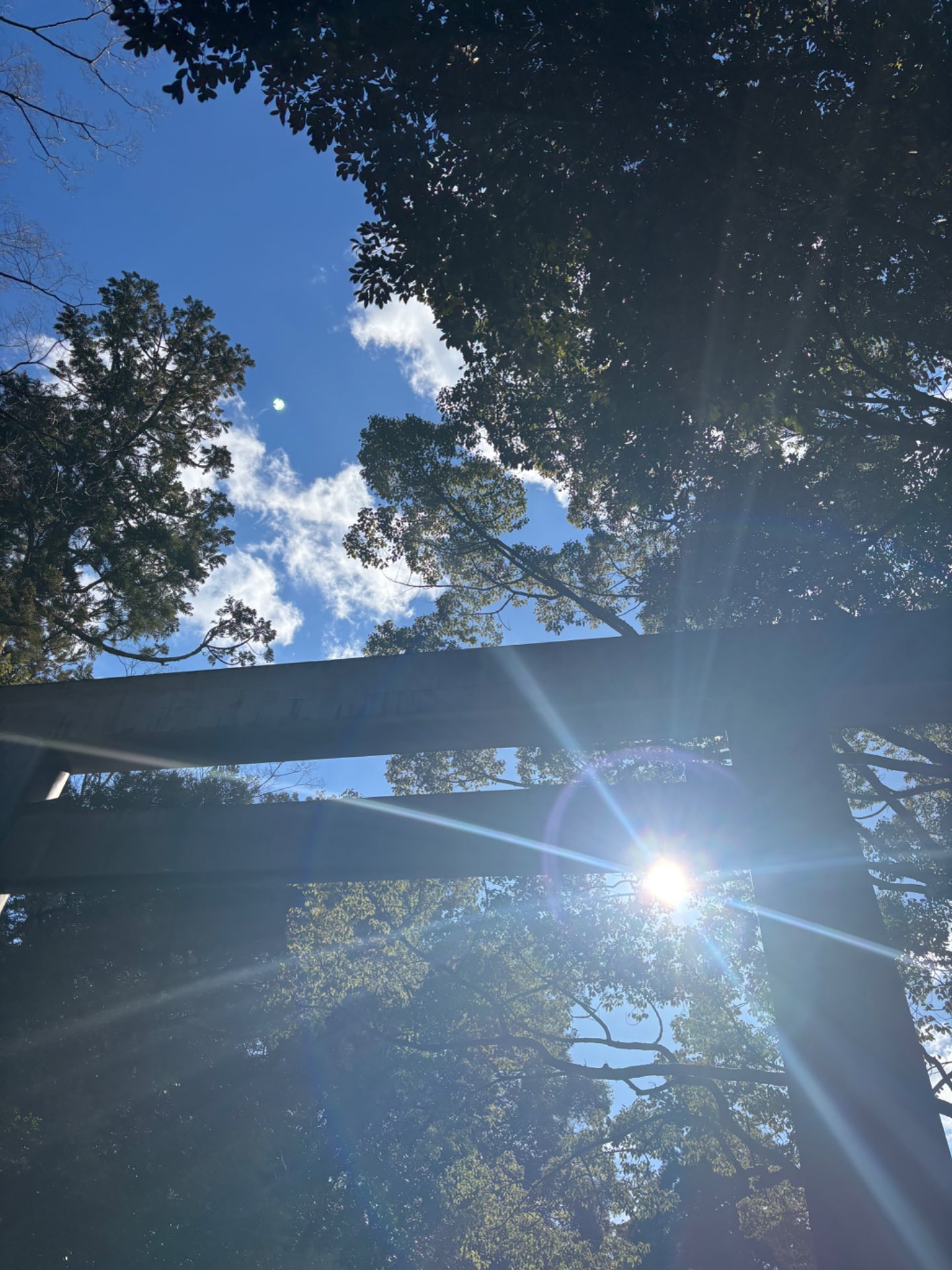 ななおさんのプロフィール画像