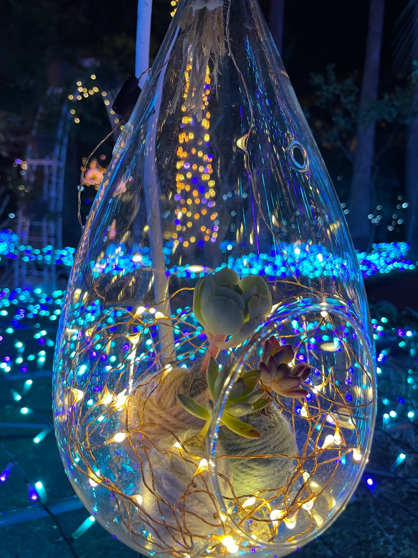 kisaさんのプロフィール画像