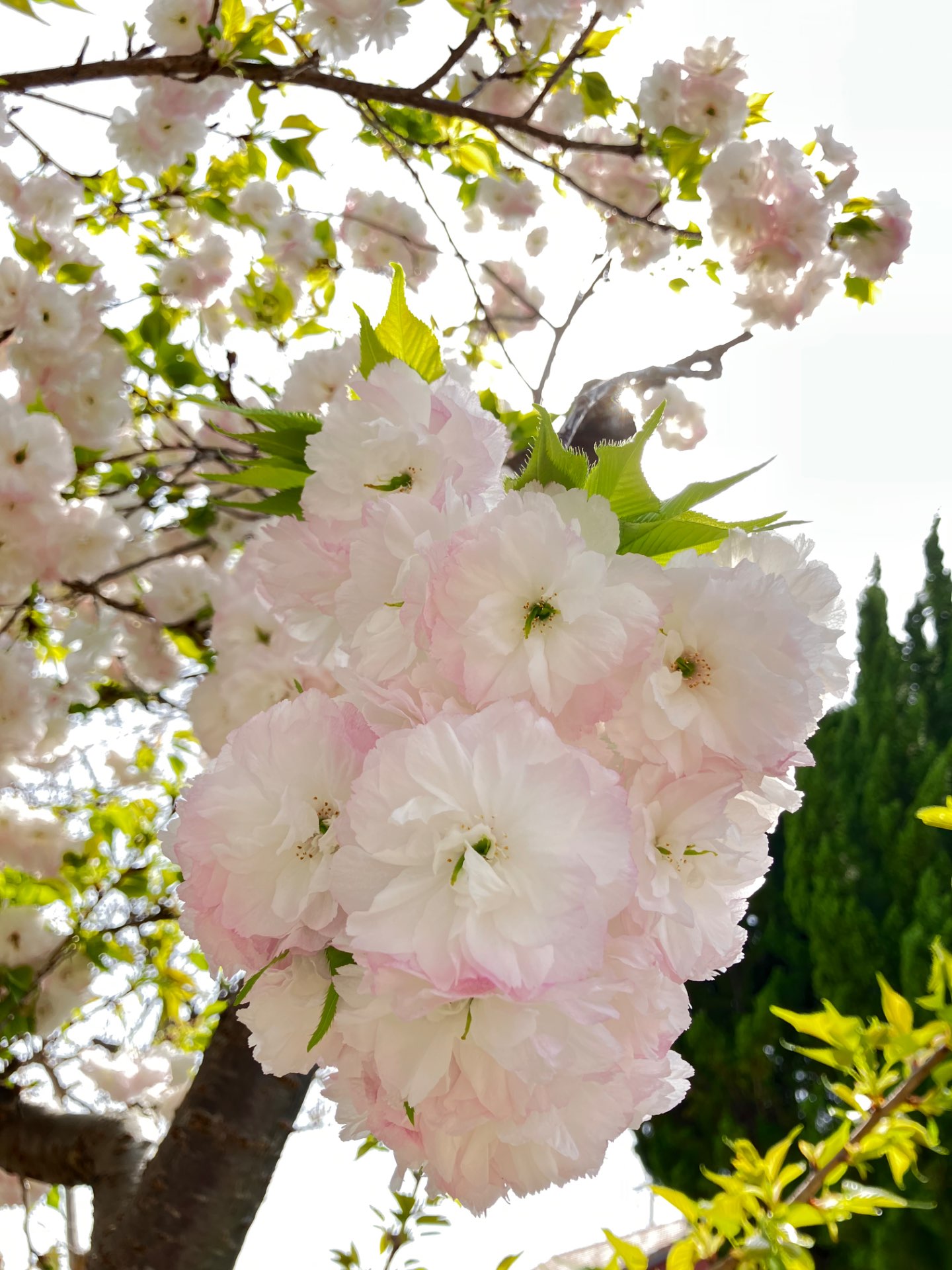 なんさんさんのプロフィール画像