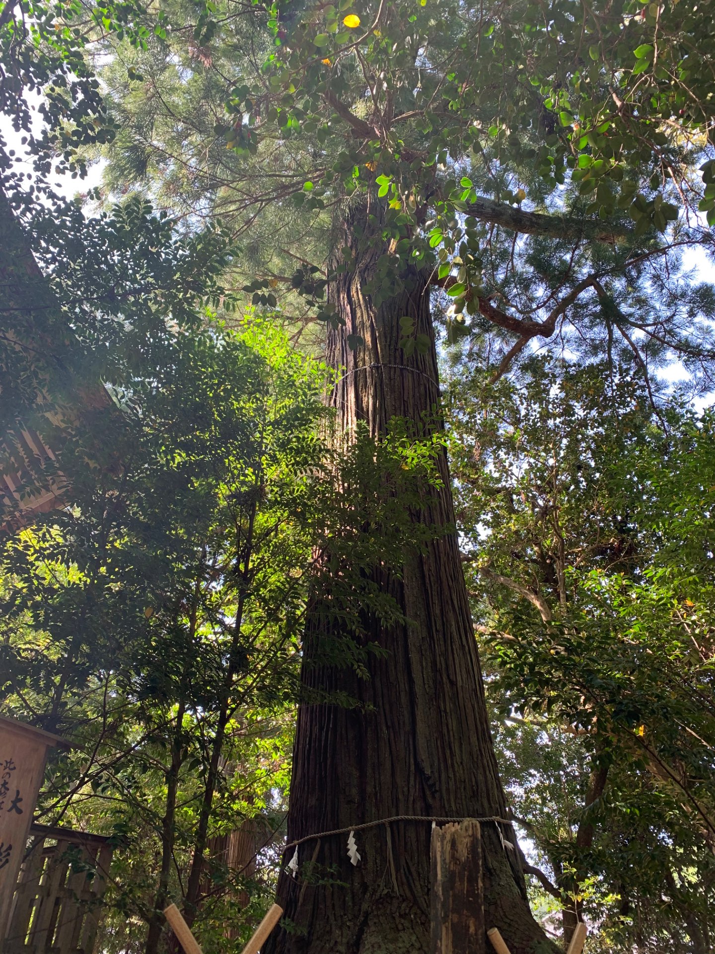 okayuさんのプロフィール画像