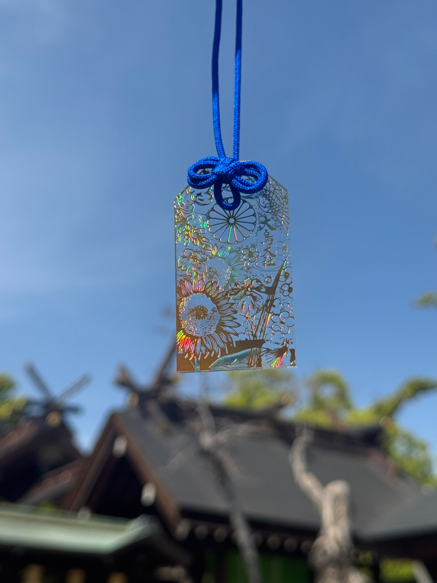 KIMIYANさんのプロフィール画像