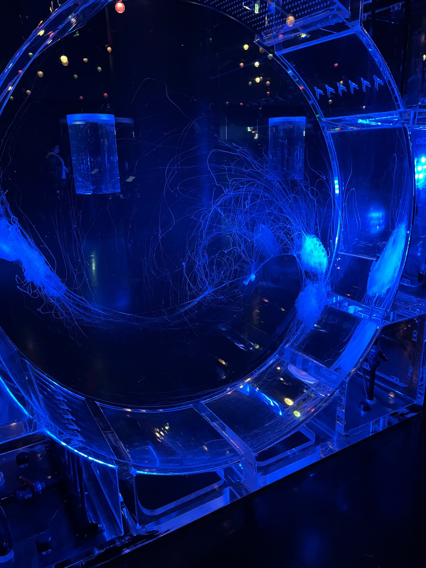 尊さんのプロフィール画像