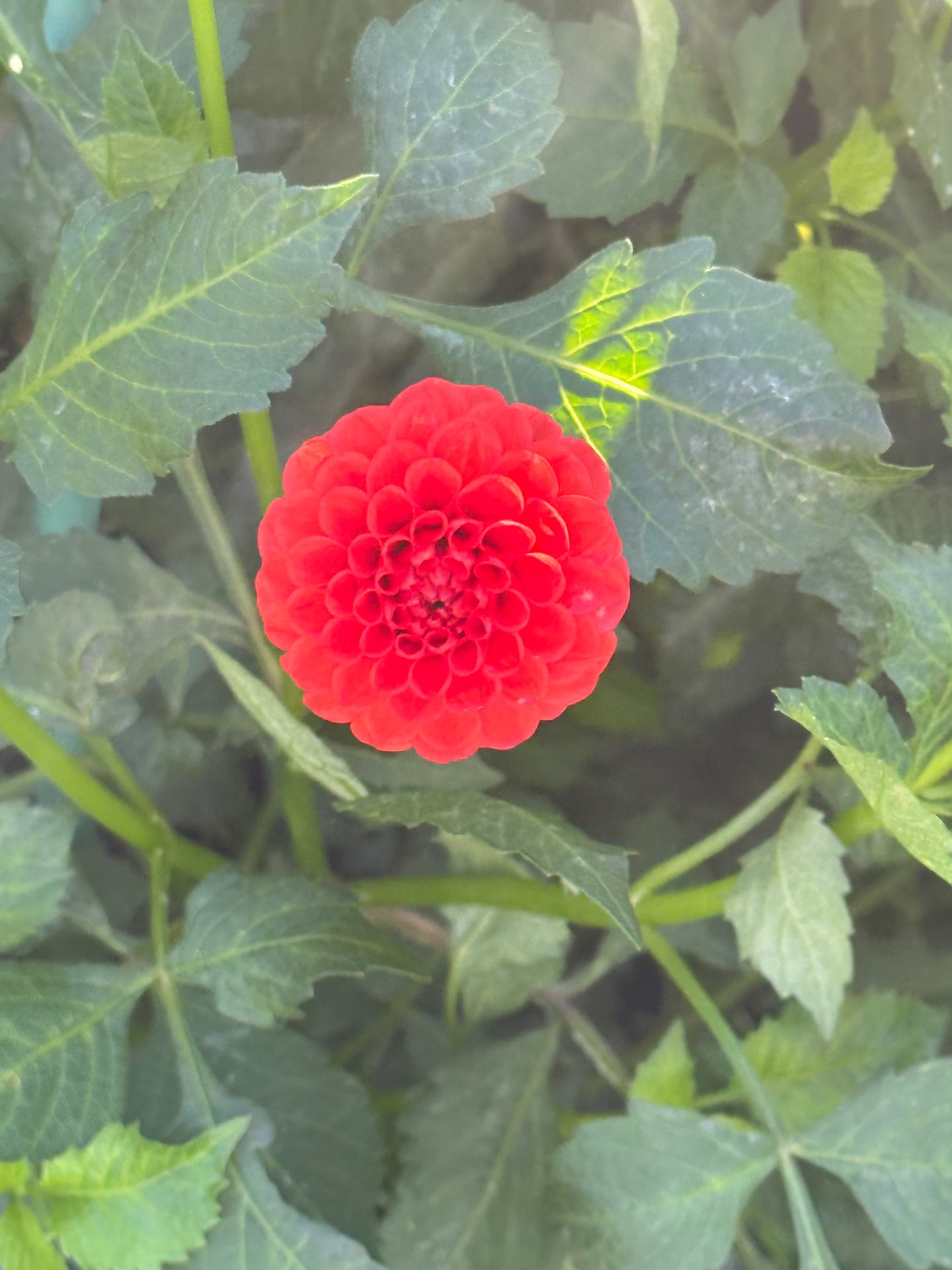 きたのゆうこさんのプロフィール画像