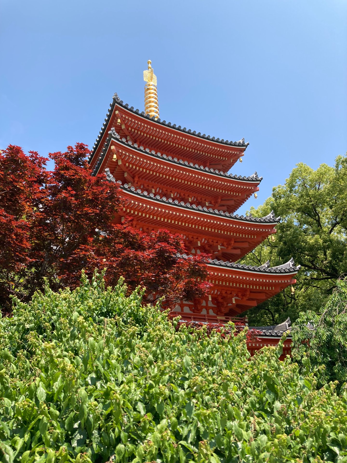 あじゃもさんのプロフィール画像