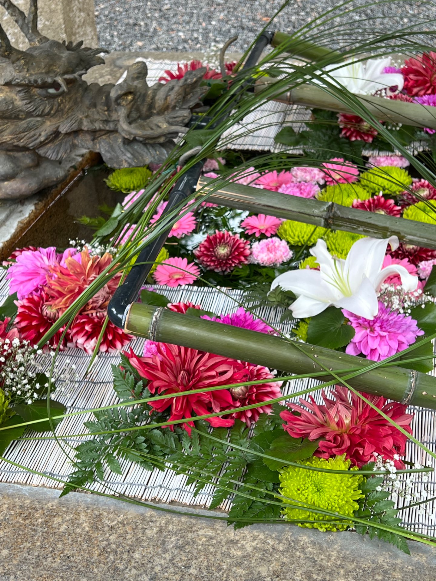 8姫さんのプロフィール画像