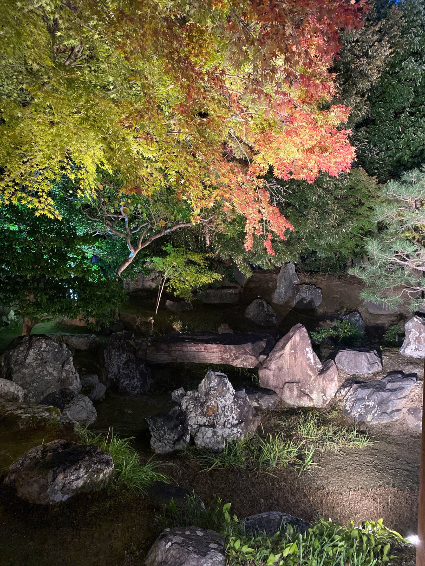 わっわっわさんのプロフィール画像