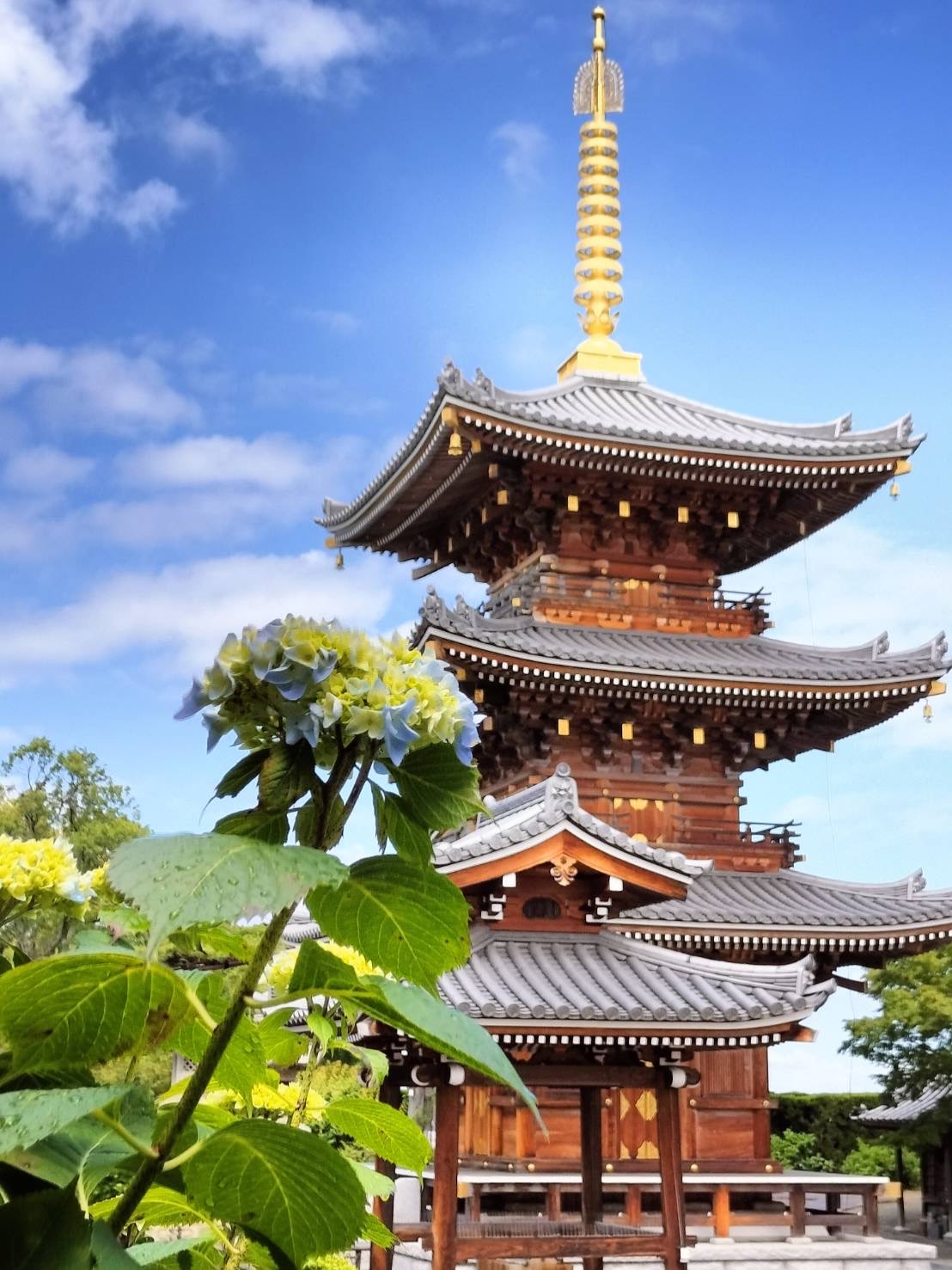 長慶寺（泉南市）さんのプロフィール画像