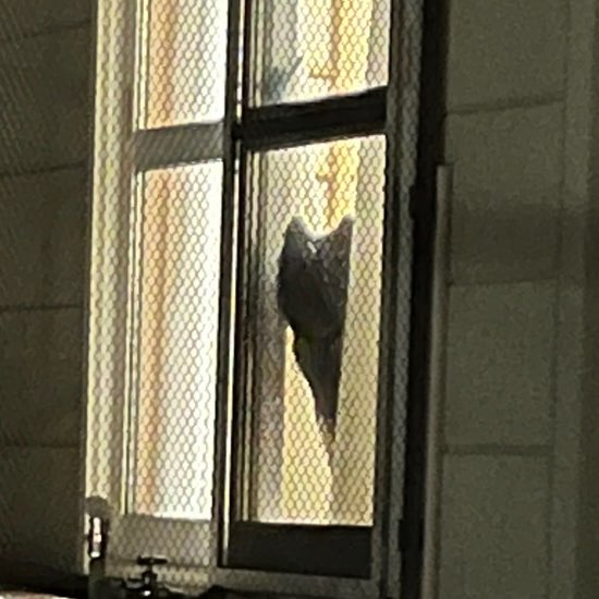 あいりさんのプロフィール画像