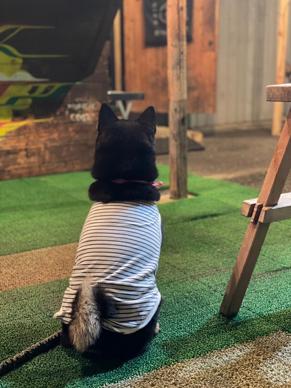 もこさくさんのプロフィール画像