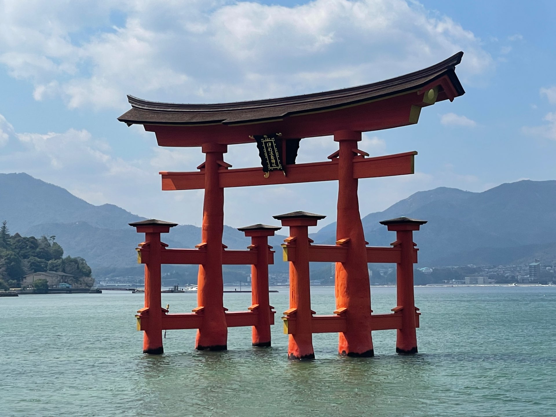 クマさんのプロフィール画像