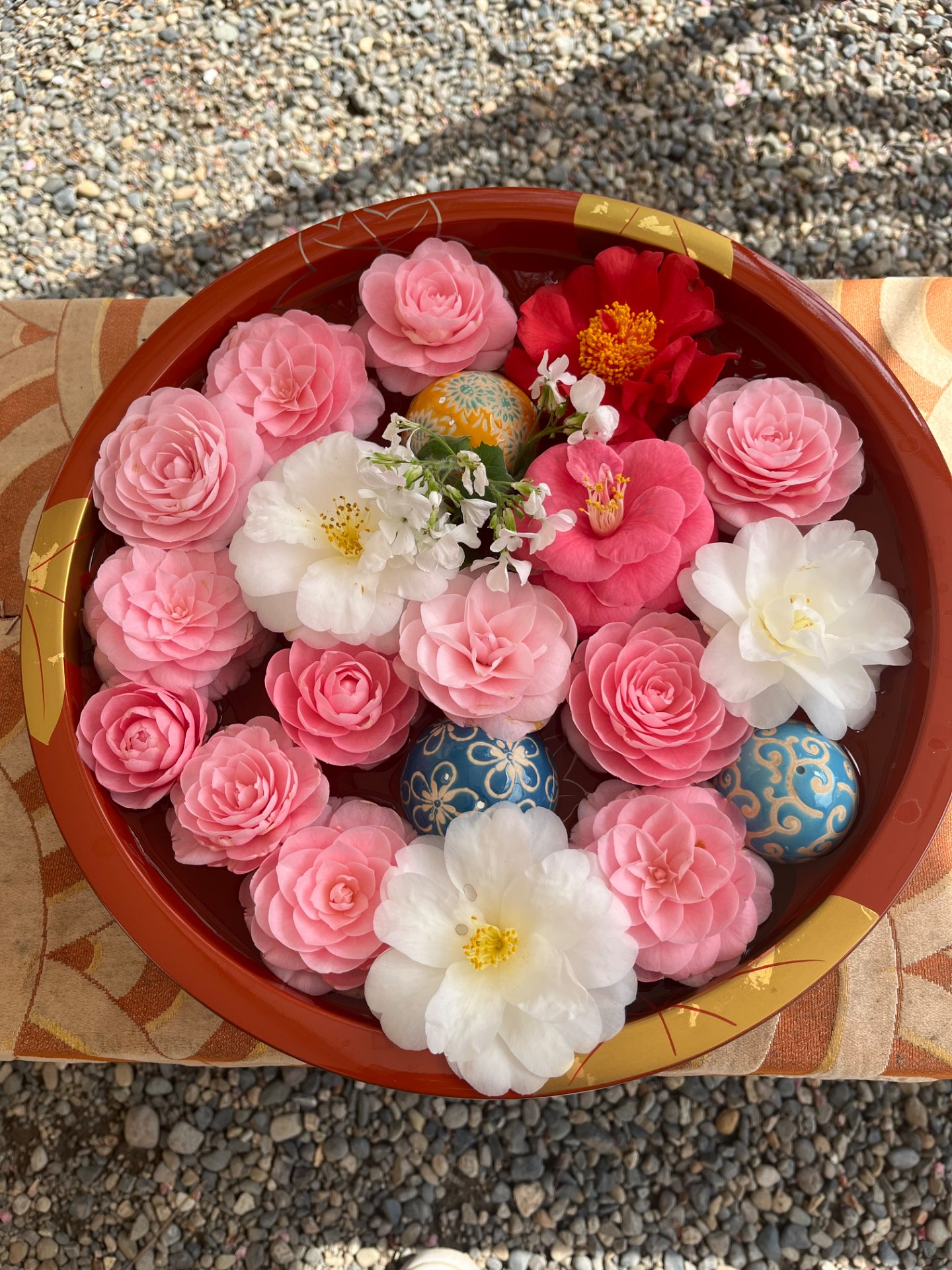 クロミさんのプロフィール画像