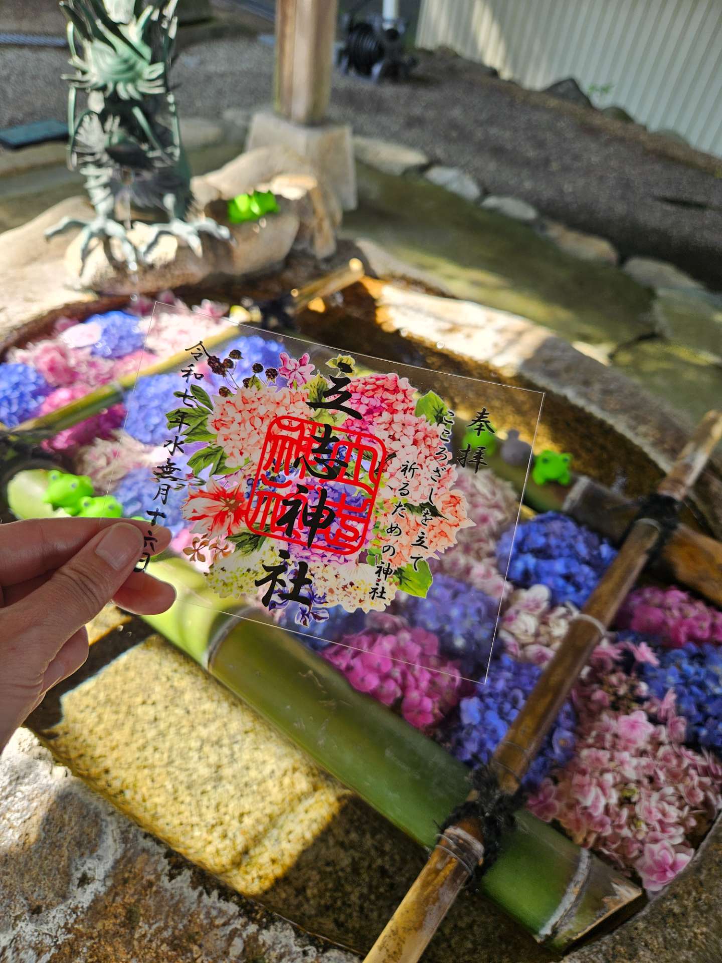 まゆたさんのプロフィール画像