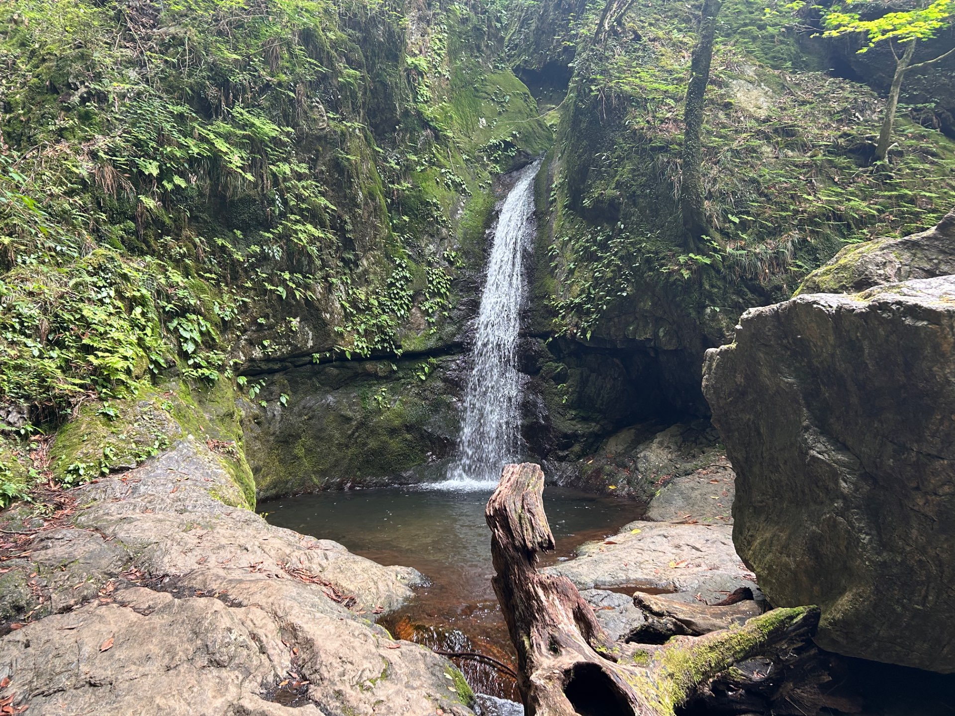 🐥⛩️キャド⛩️🌲さんのプロフィール画像