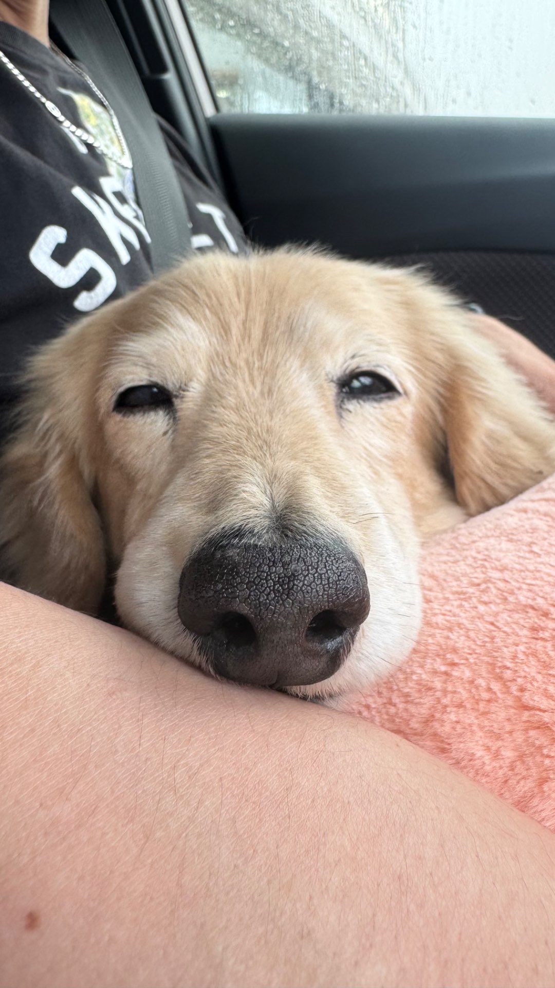 みーしゃさんのプロフィール画像