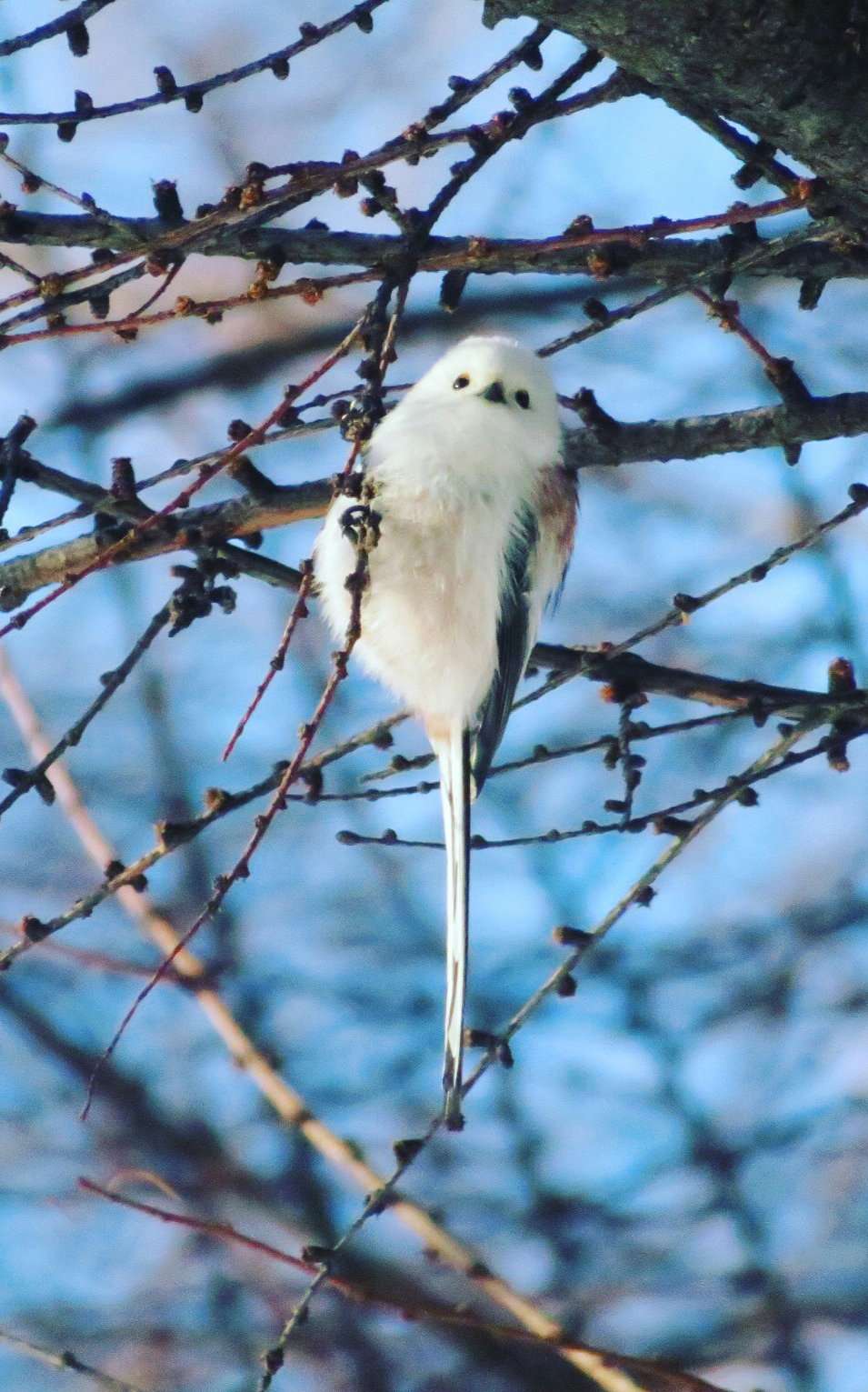 二博さんのプロフィール画像