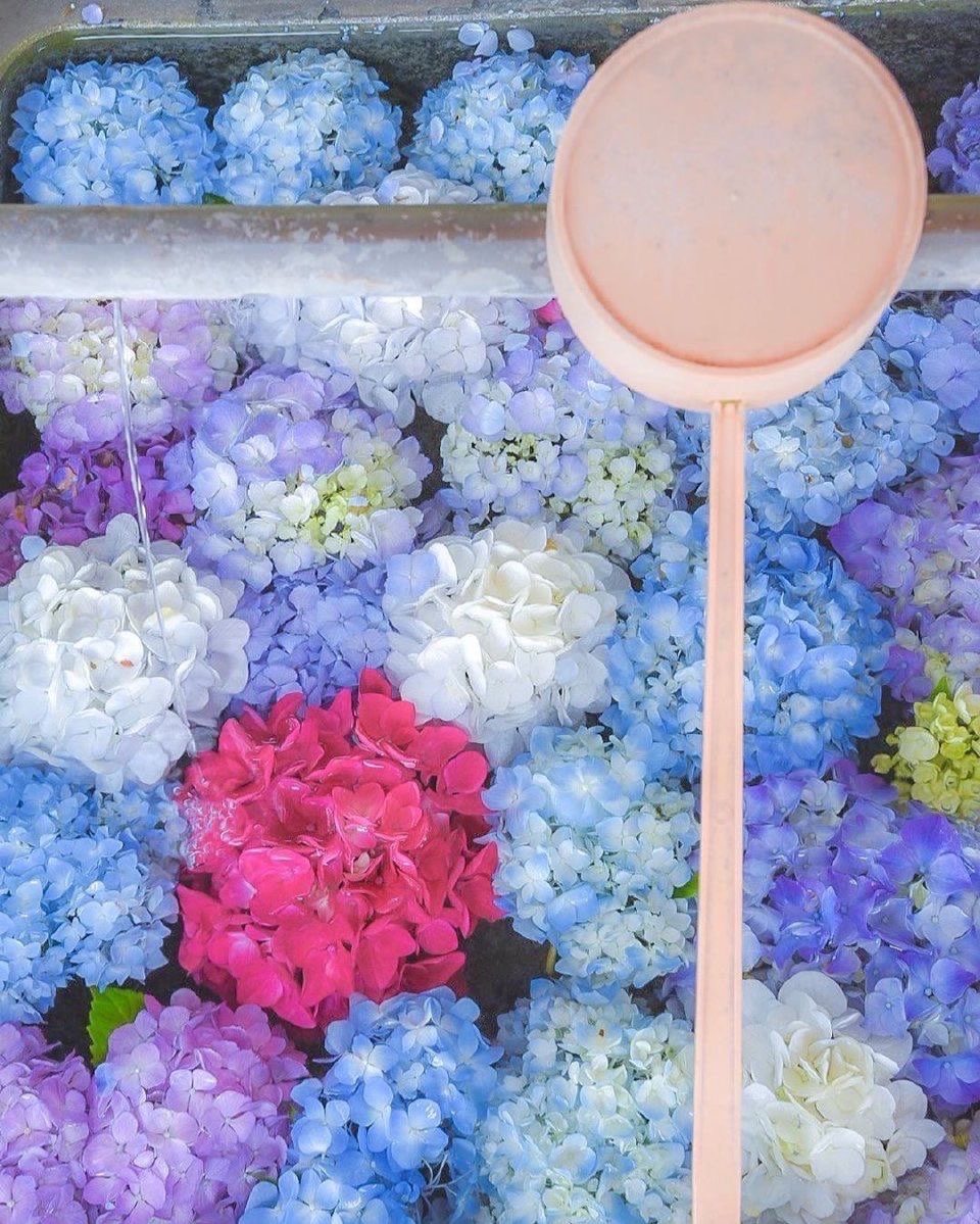 ピーチティーさんのプロフィール画像