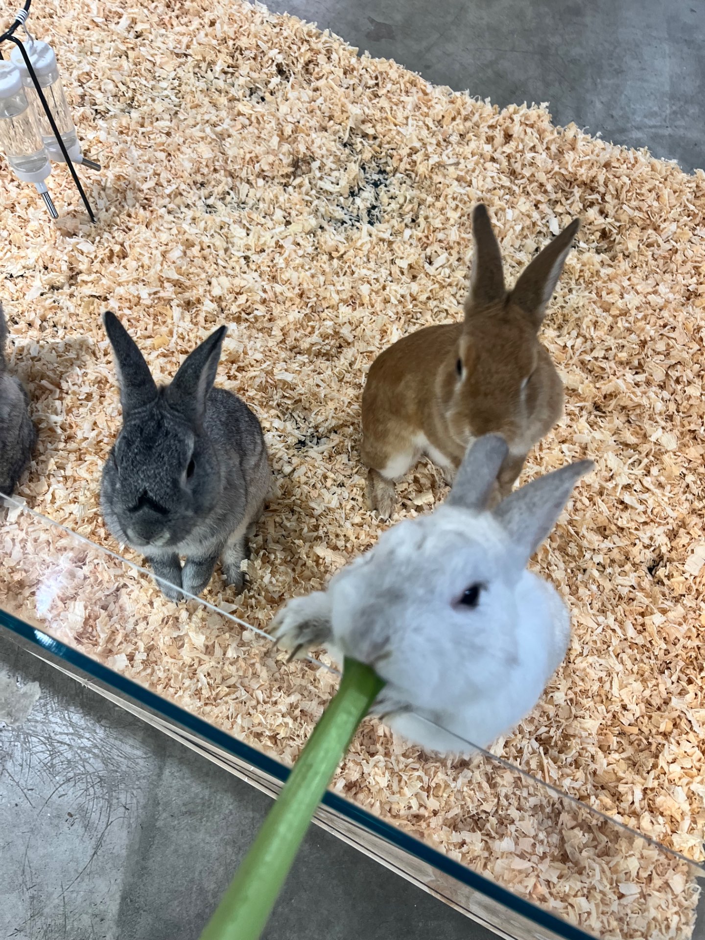 444さんのプロフィール画像