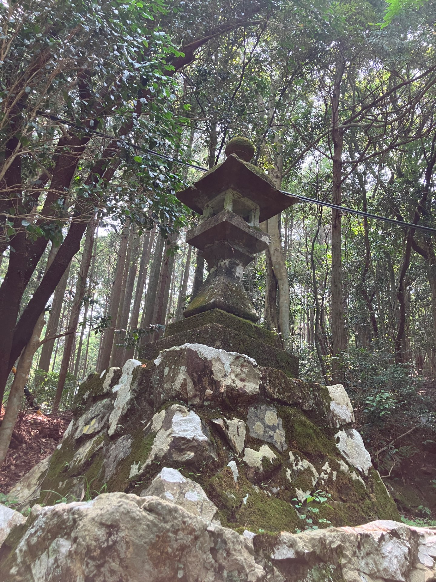 Pxwill2さんのプロフィール画像