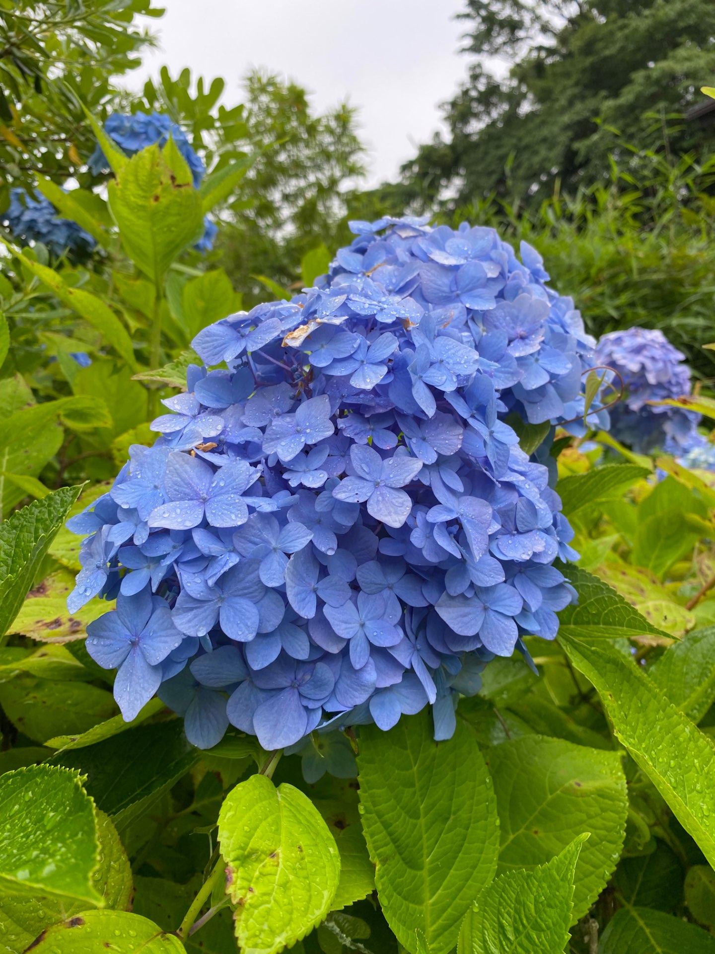 RYOさんのプロフィール画像