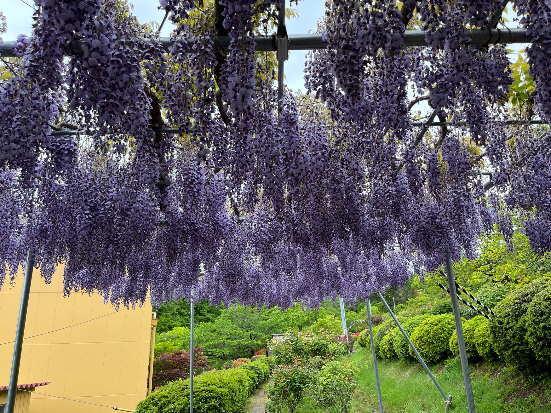 れいさんのプロフィール画像