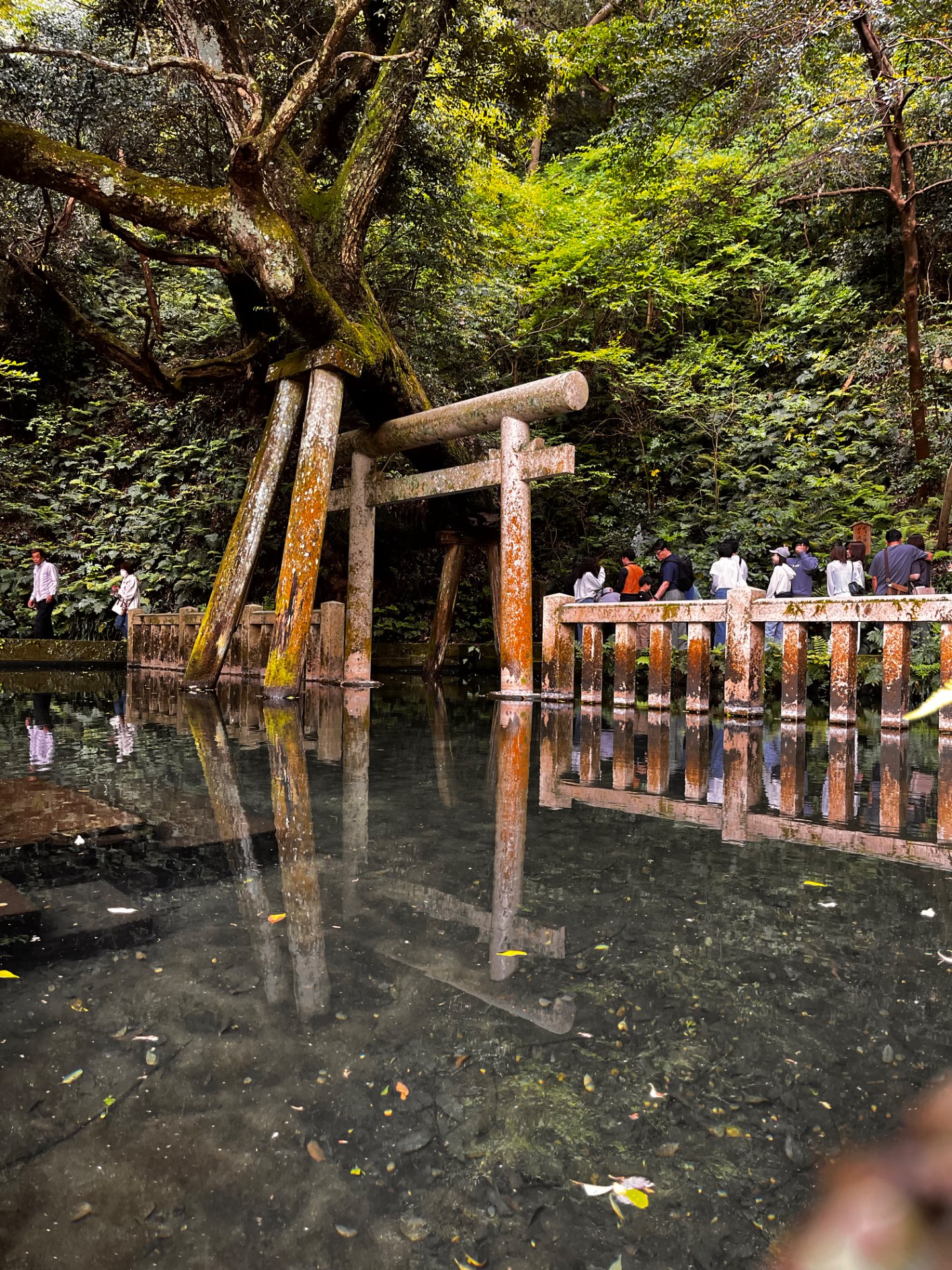 たまさんのプロフィール画像